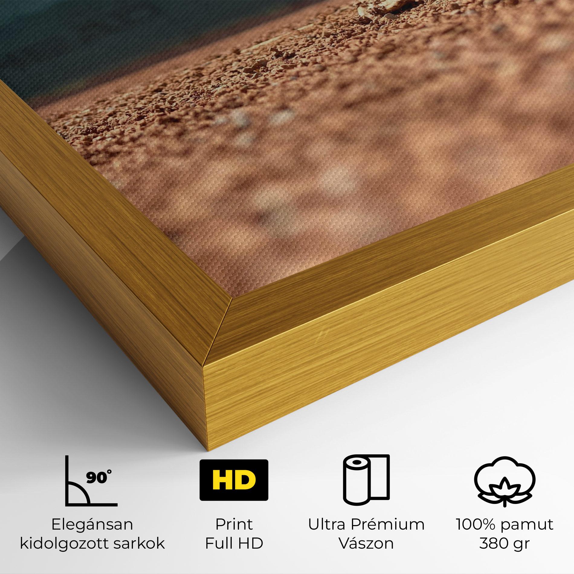 Vászonkép Lost Tennis Ball mockup 4