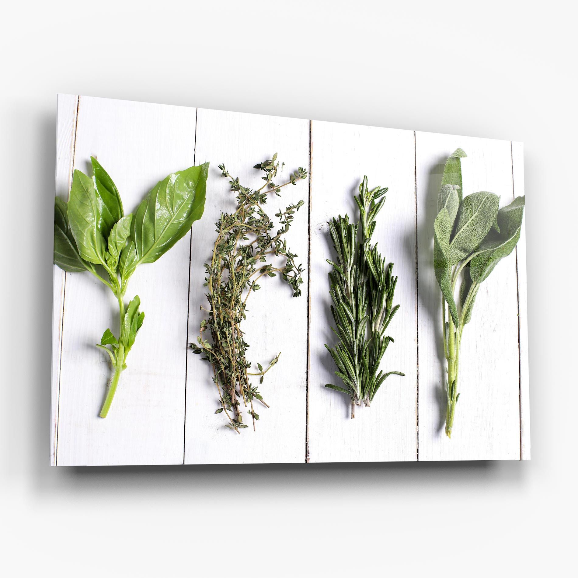 Different Herbs mockup 6