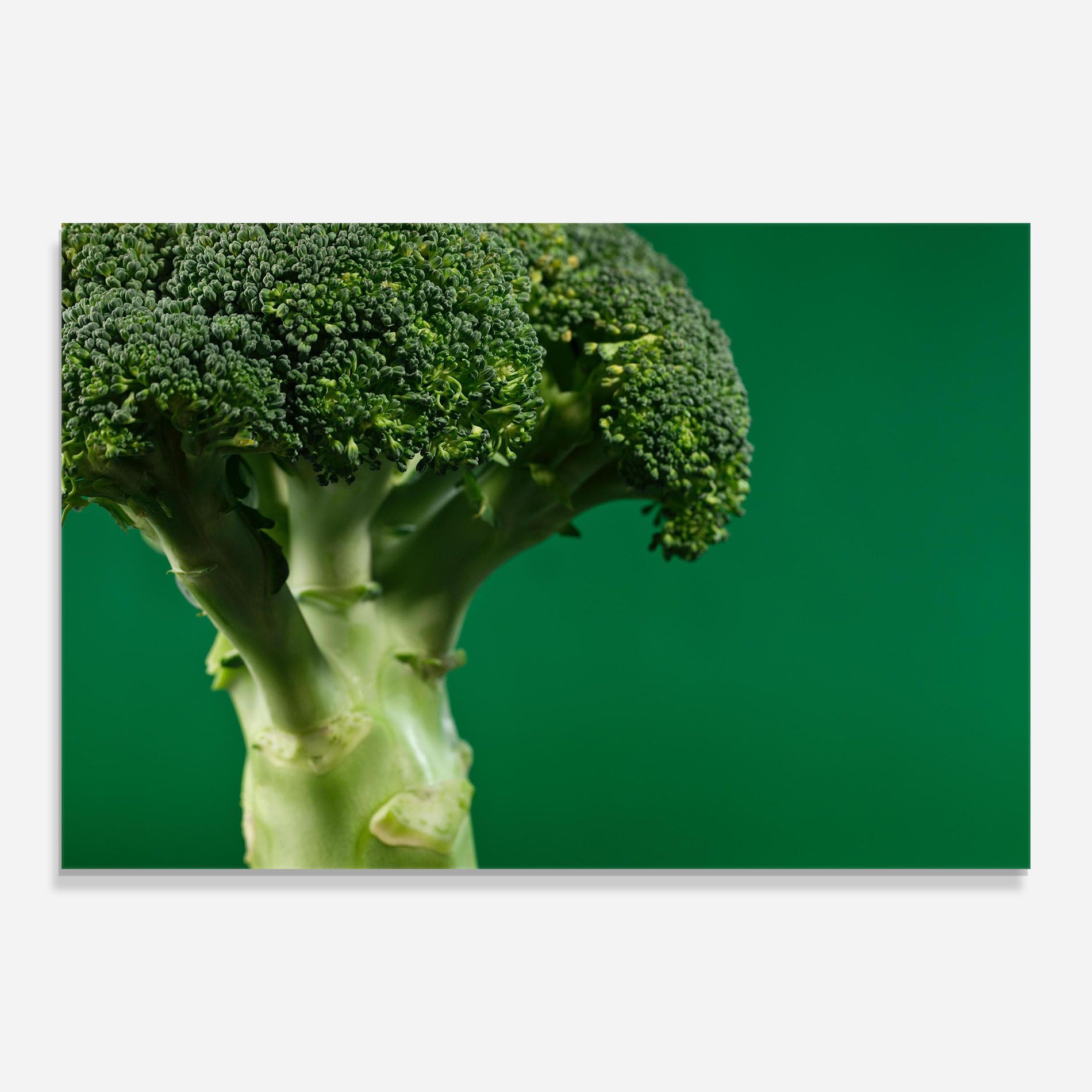 Broccoli mockup 0