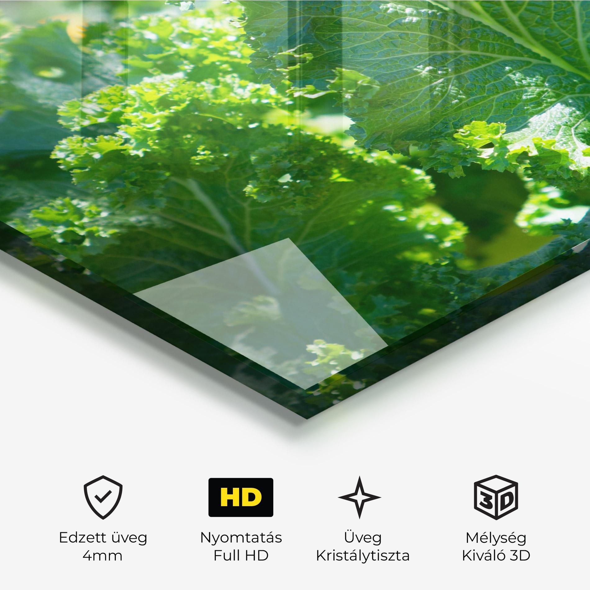 Üvegkép Lettuce View mockup 3