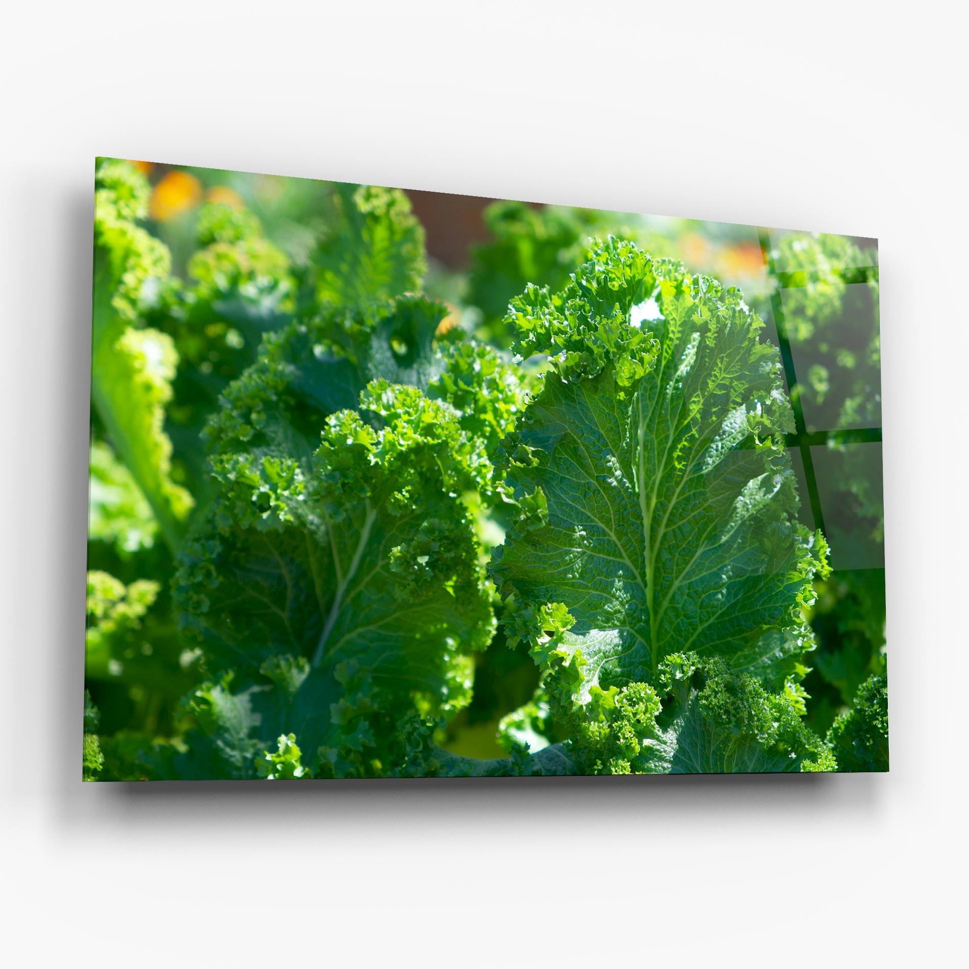 Üvegkép Lettuce View mockup 6
