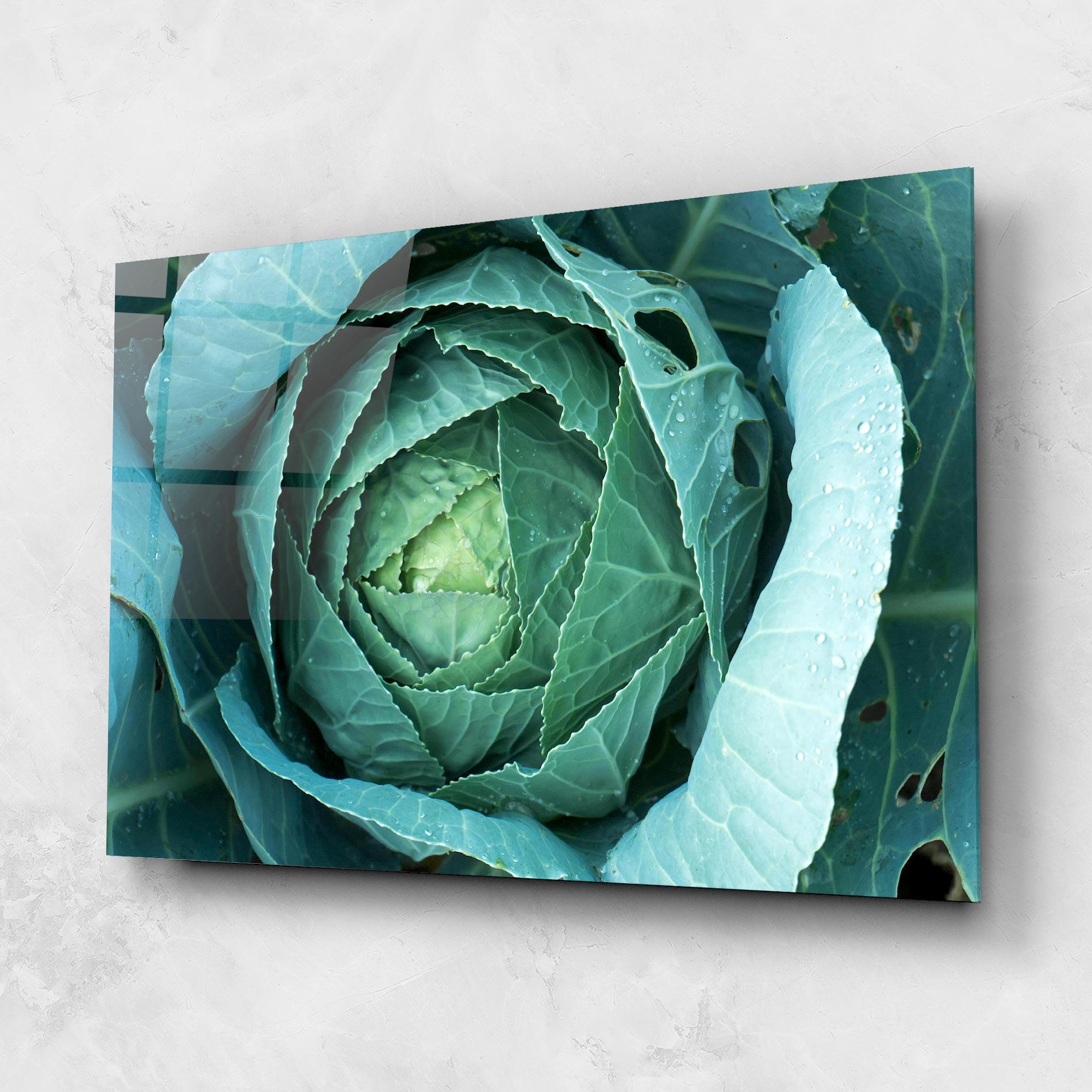 Üvegkép Blue Lettuce mockup 1