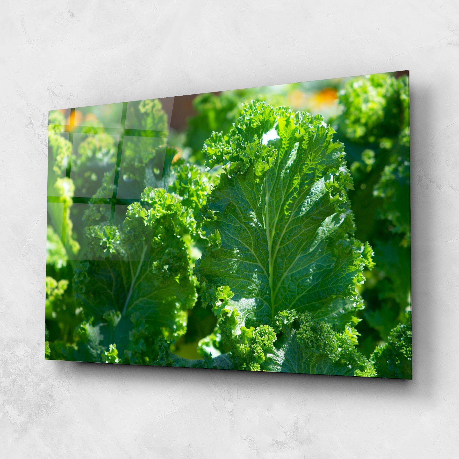 Üvegkép Lettuce View mockup 1