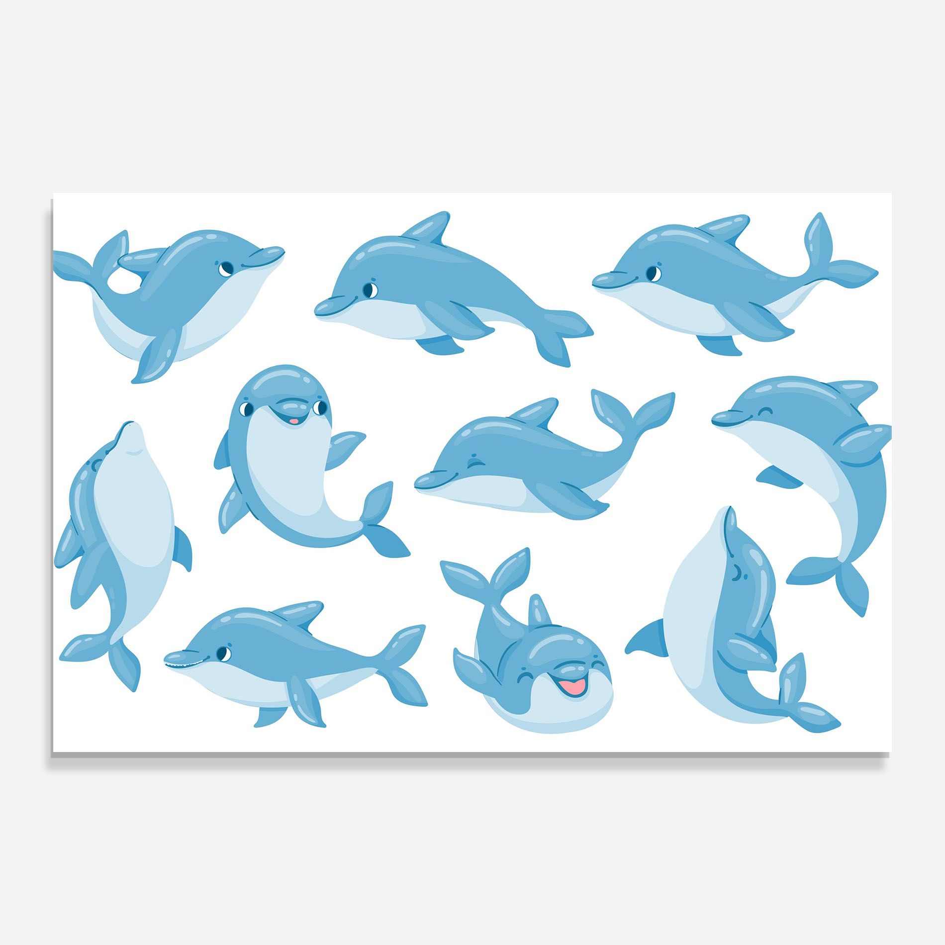 Dolphin mockup 0