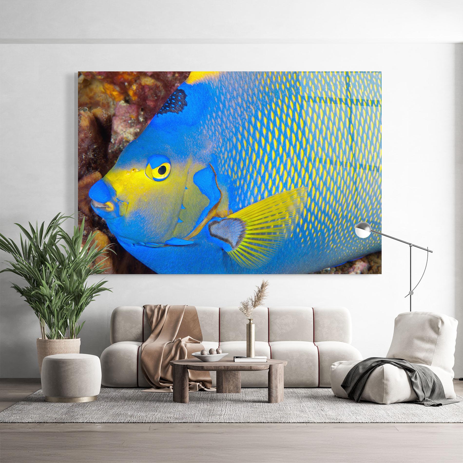 Üvegkép Blue Yellow Fish mockup 9