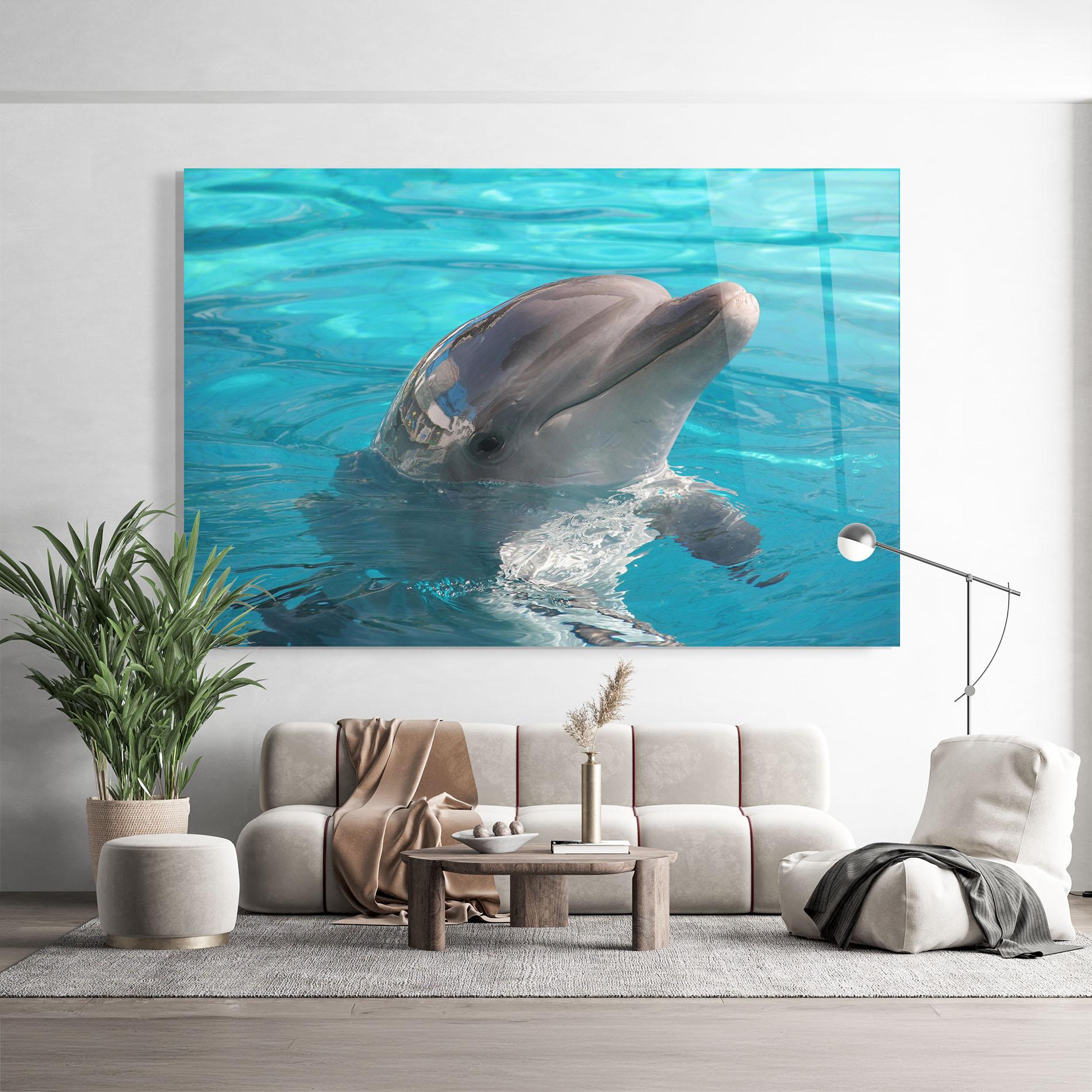 Üvegkép Dolphin Poses mockup 9