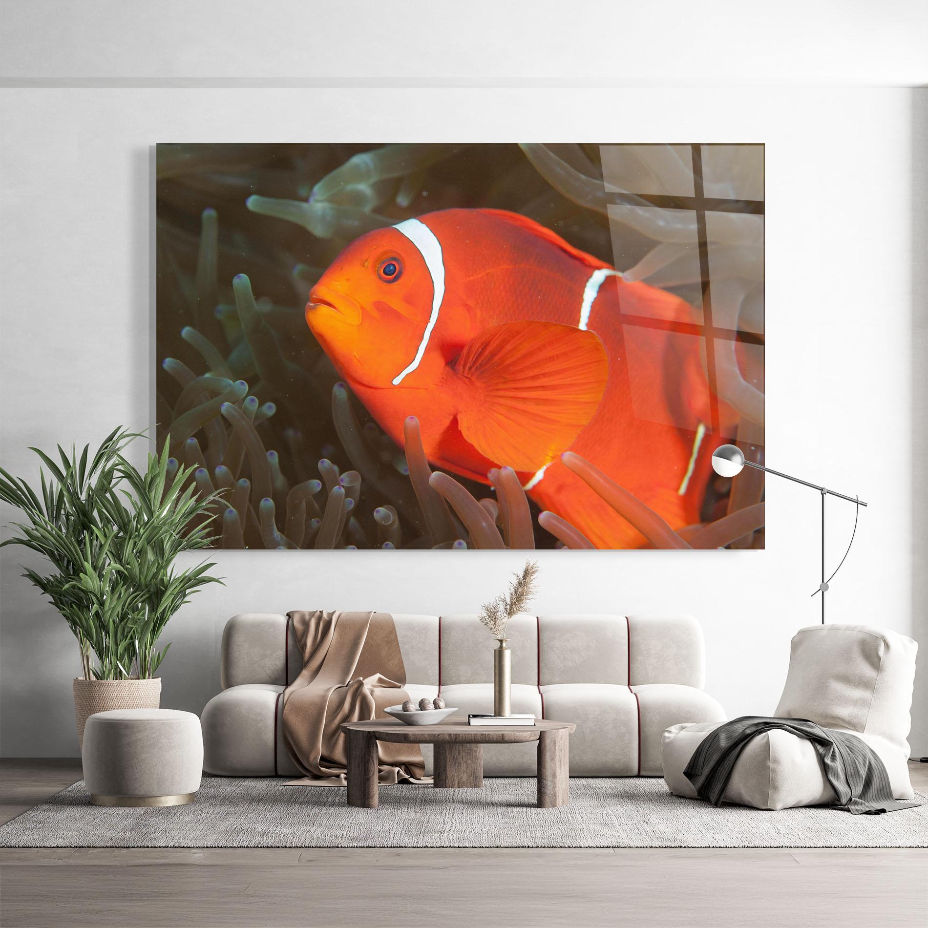 Üvegkép Nemo Clownfish mockup 9
