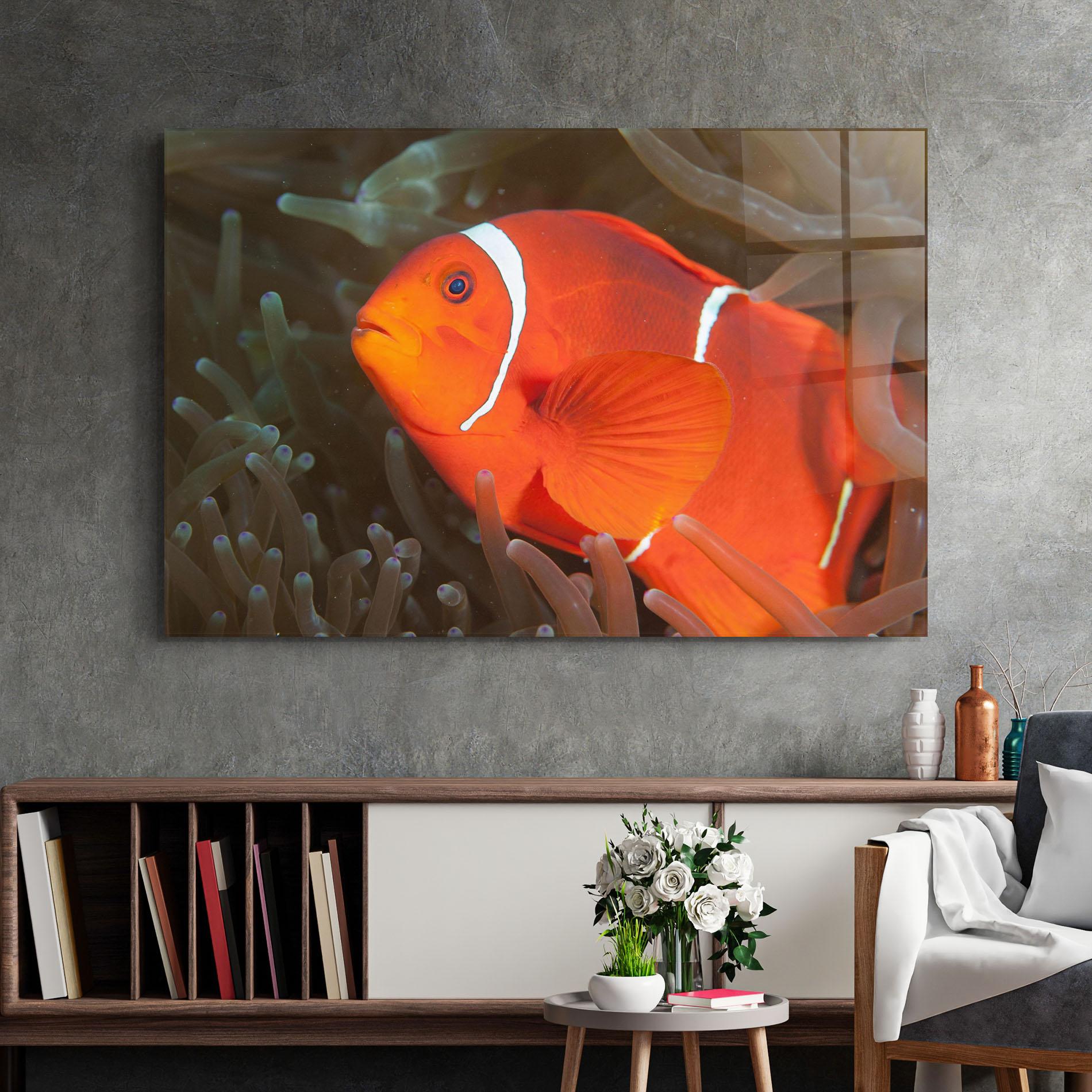 Üvegkép Nemo Clownfish mockup 2