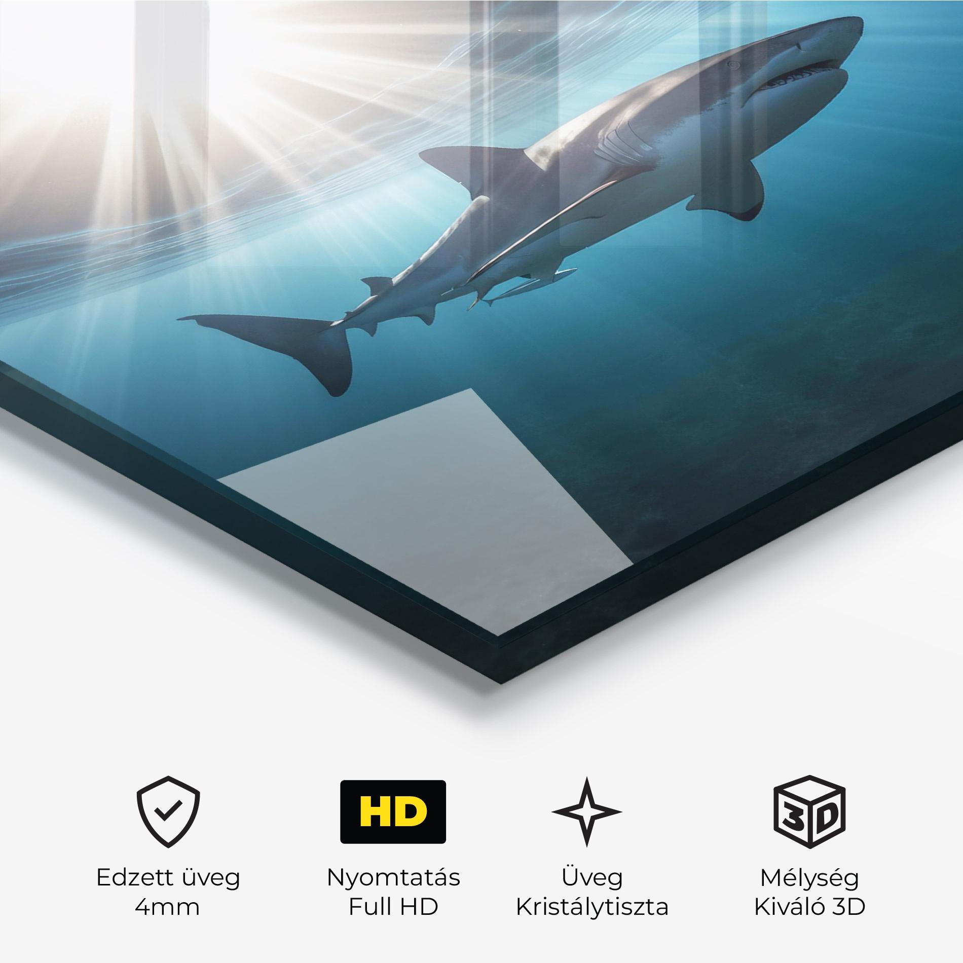 Üvegkép Big Shark mockup 3
