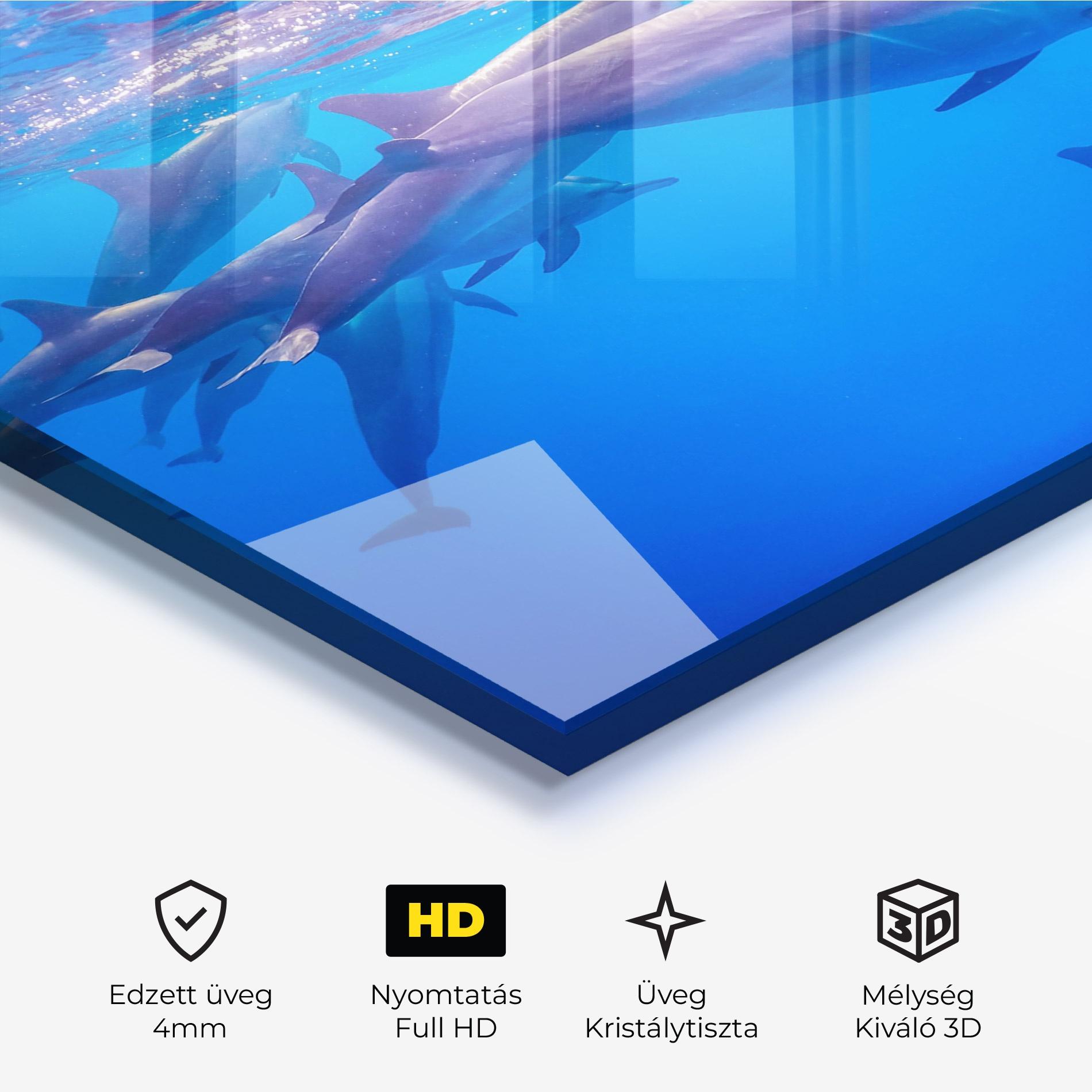 Üvegkép Dolphin Family mockup 3