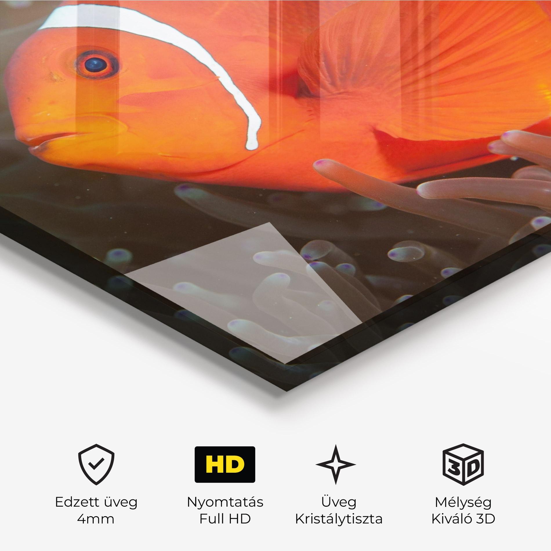 Üvegkép Nemo Clownfish mockup 3