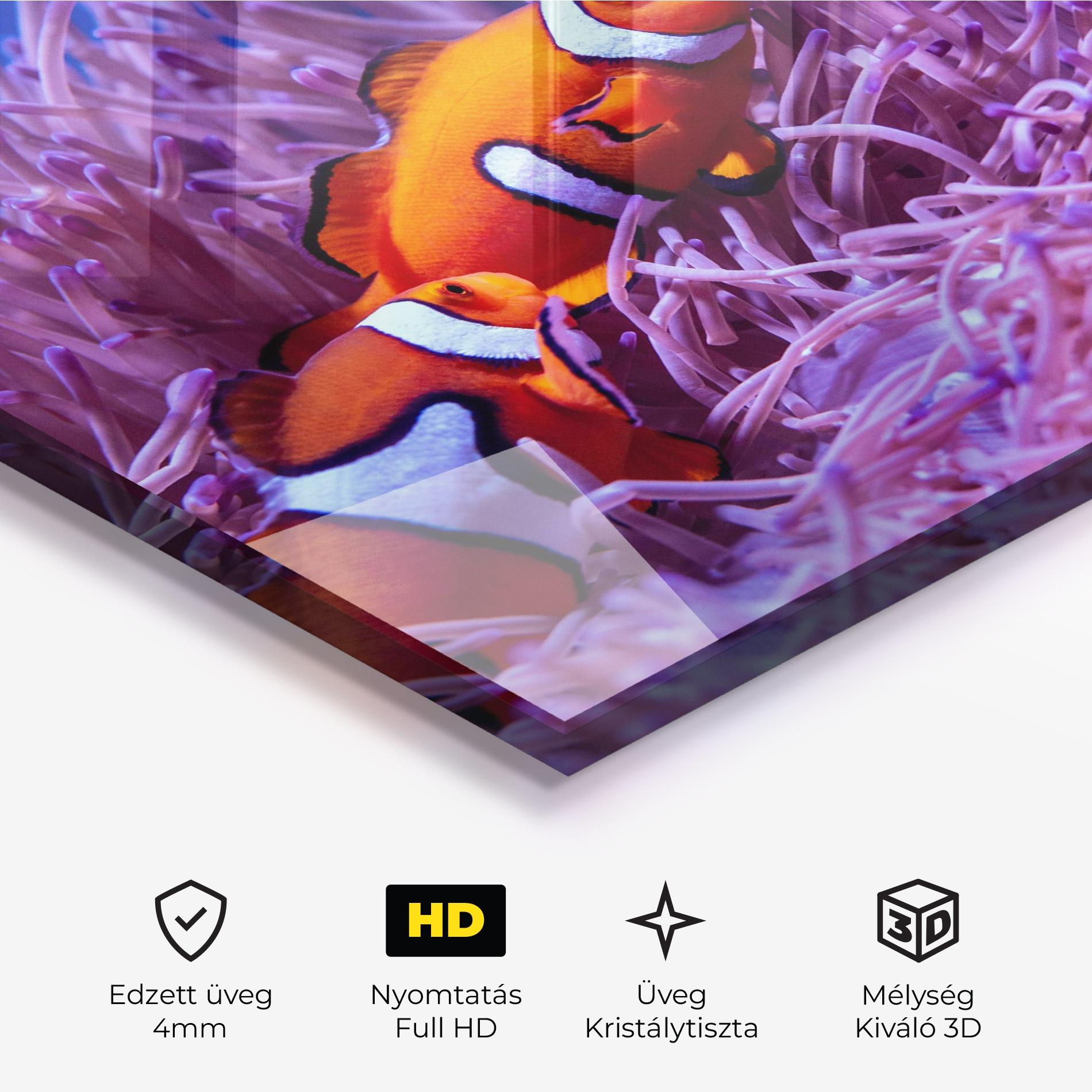 Üvegkép Nemo Family mockup 3