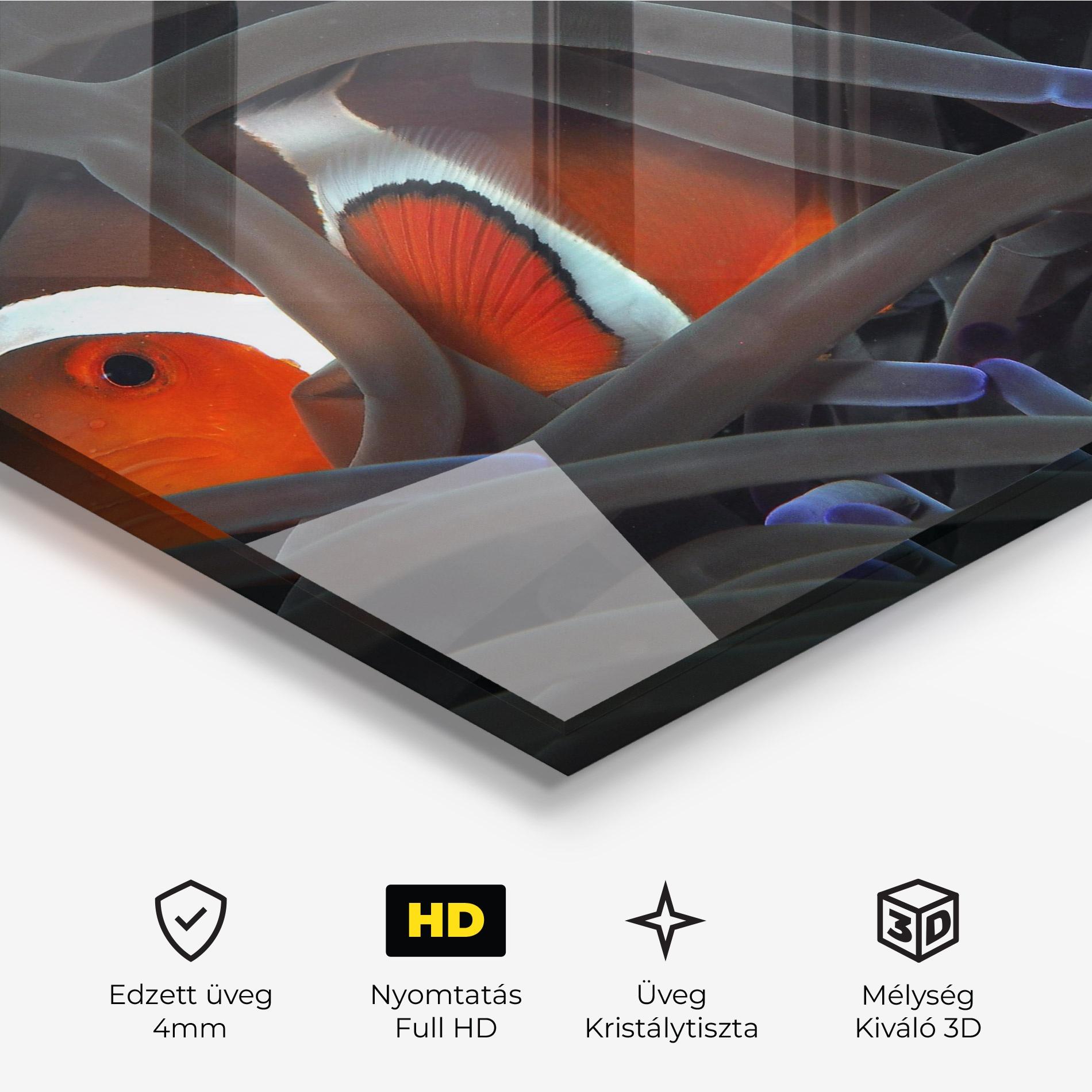Üvegkép Nemo Hiding mockup 3
