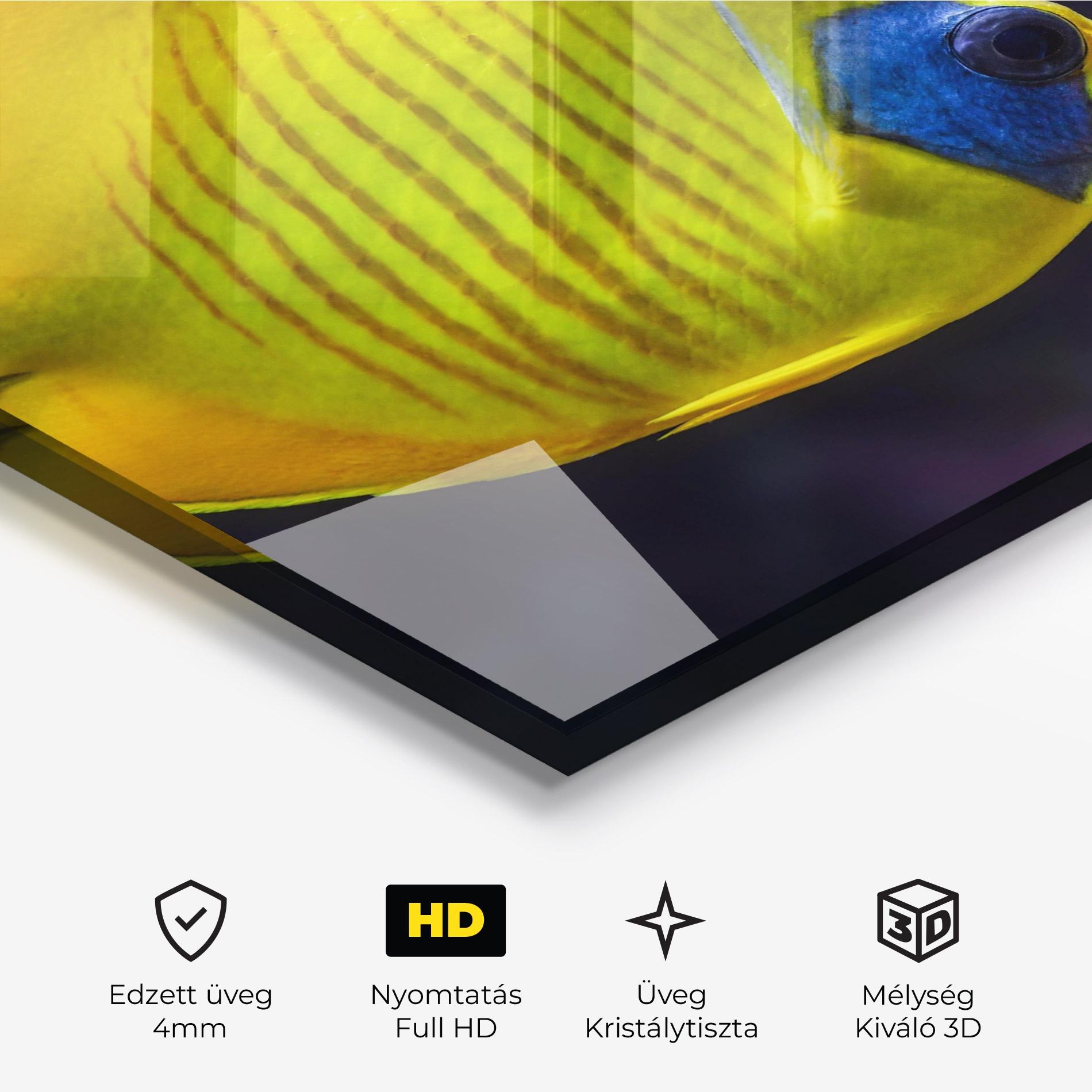 Üvegkép Yellow Blue Fish mockup 3
