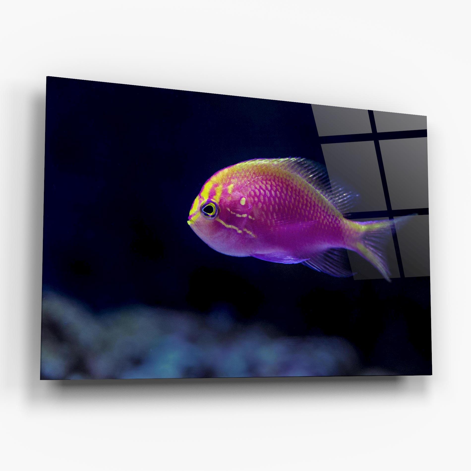 Üvegkép Angry Pink Fish mockup 6