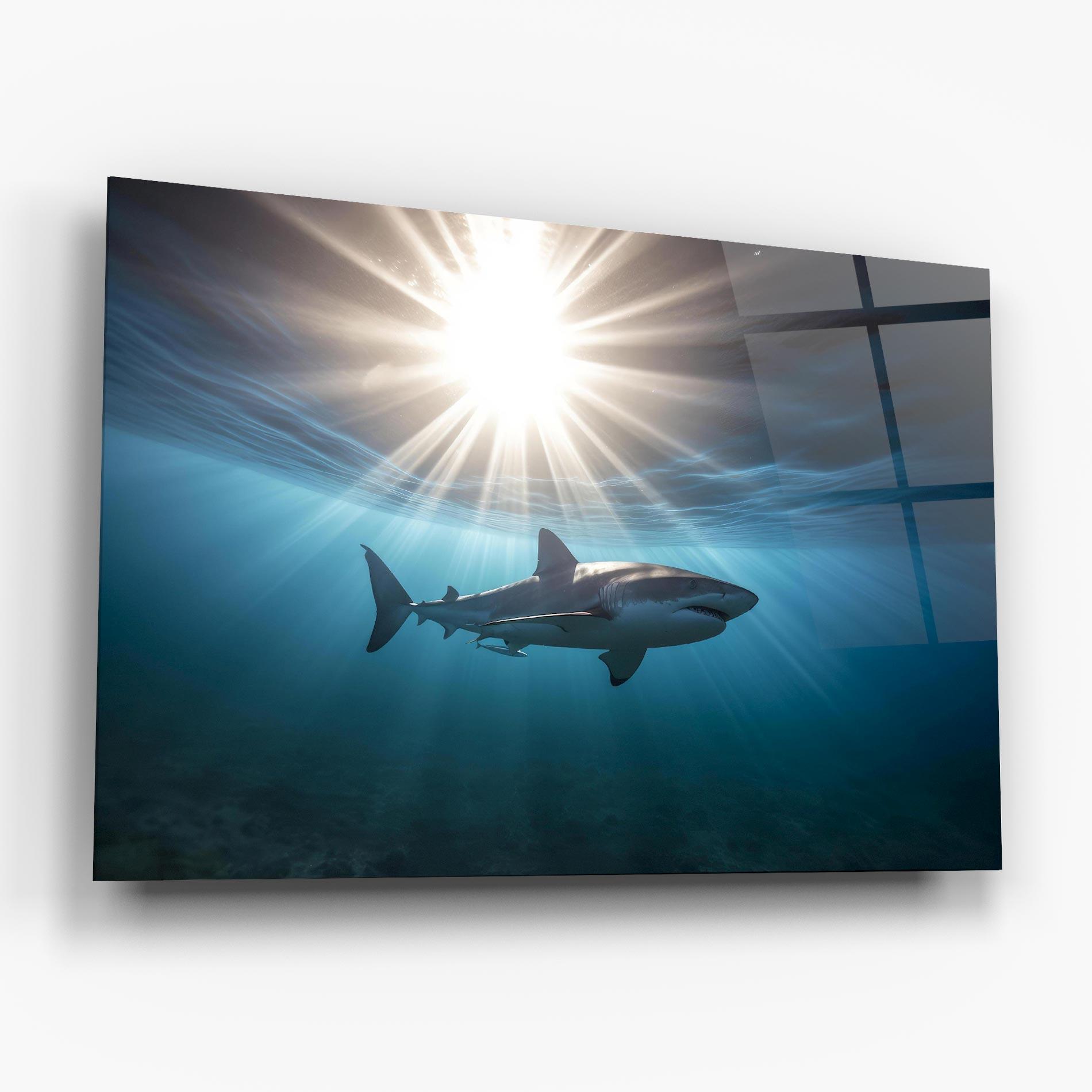Üvegkép Big Shark mockup 6