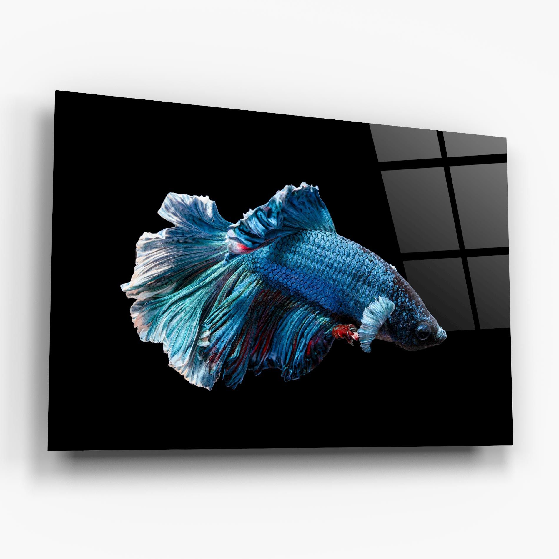 Blue Betta mockup 6