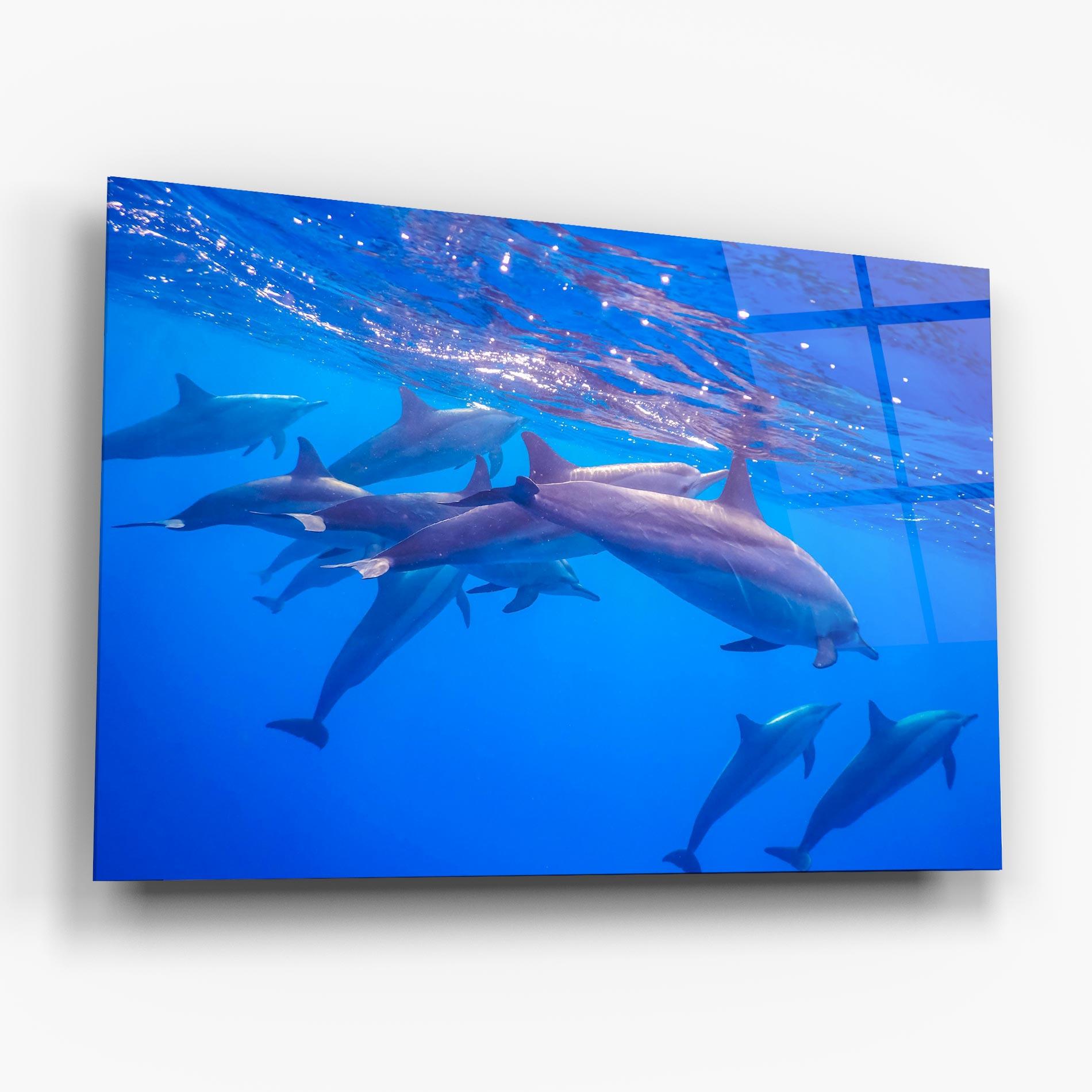 Üvegkép Dolphin Family mockup 6