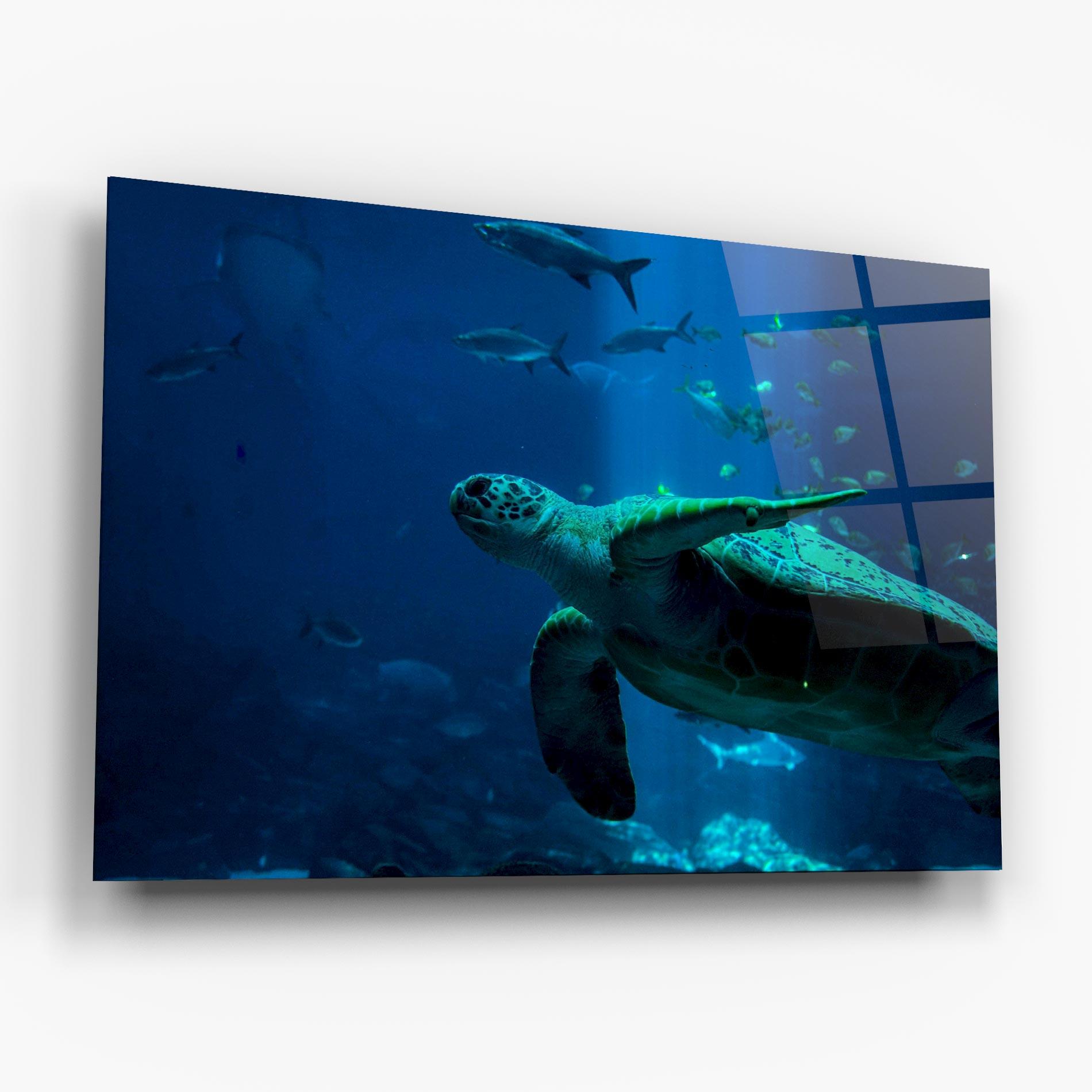 Üvegkép Green Turtule mockup 6