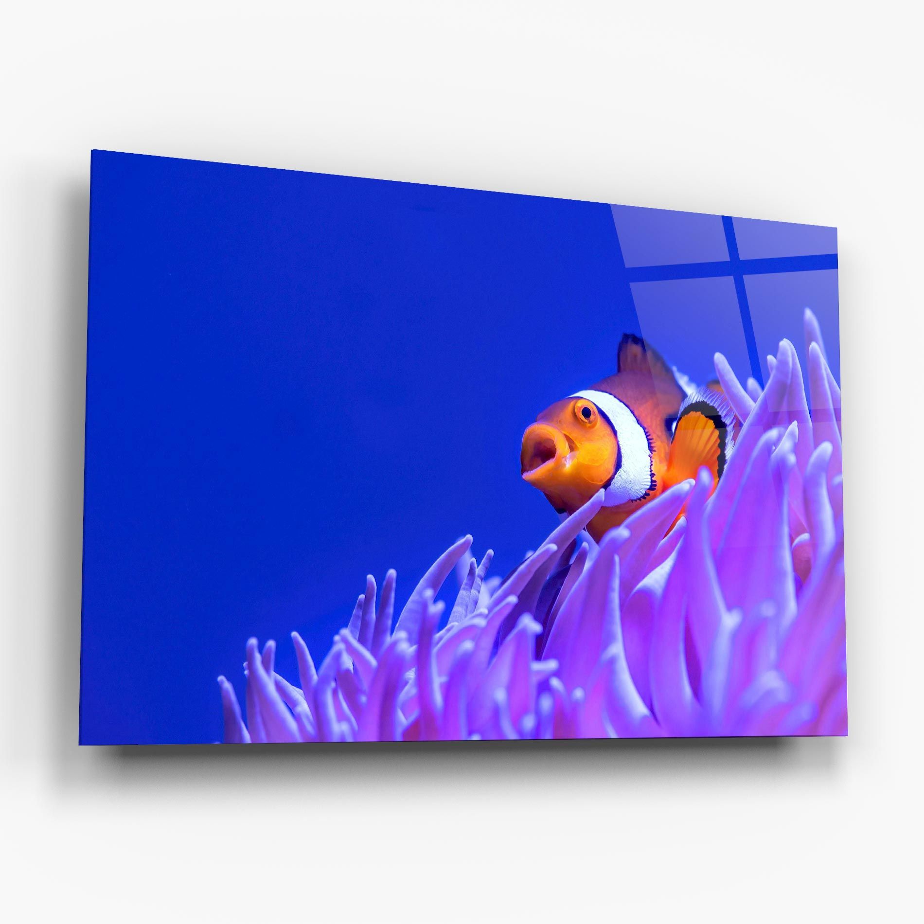 Hungry Nemo mockup 6