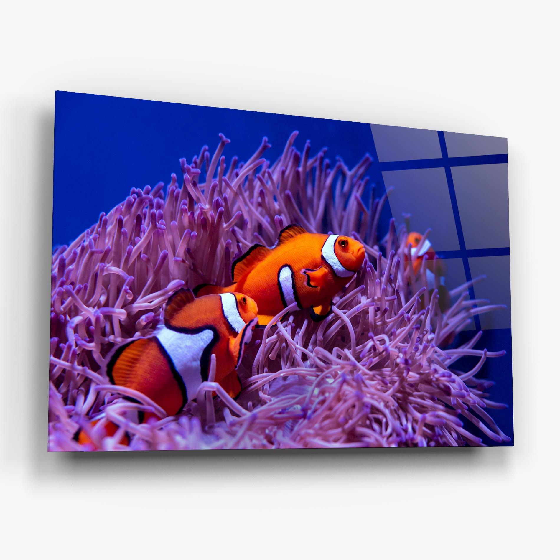 Üvegkép Nemo Family mockup 6