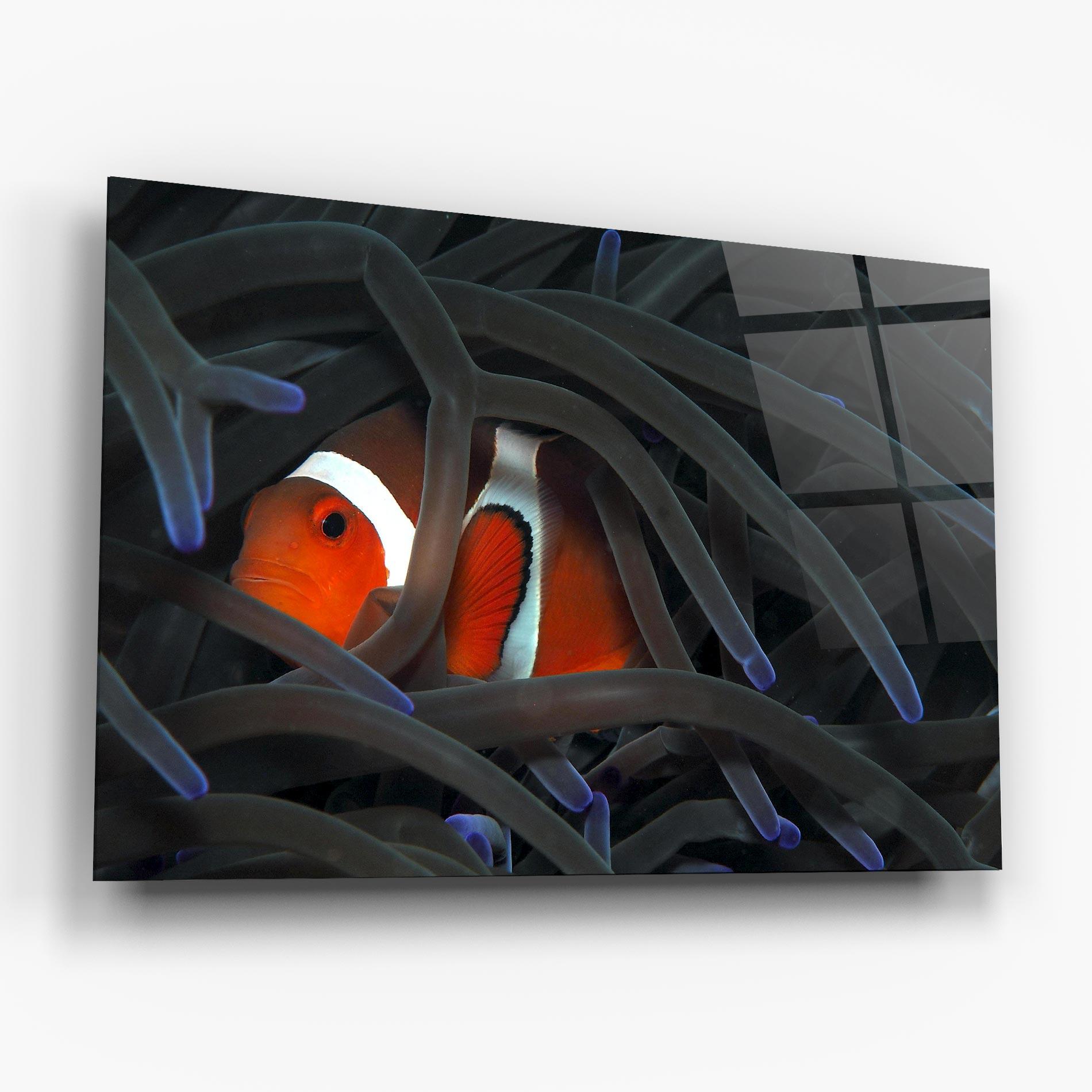 Üvegkép Nemo Hiding mockup 6