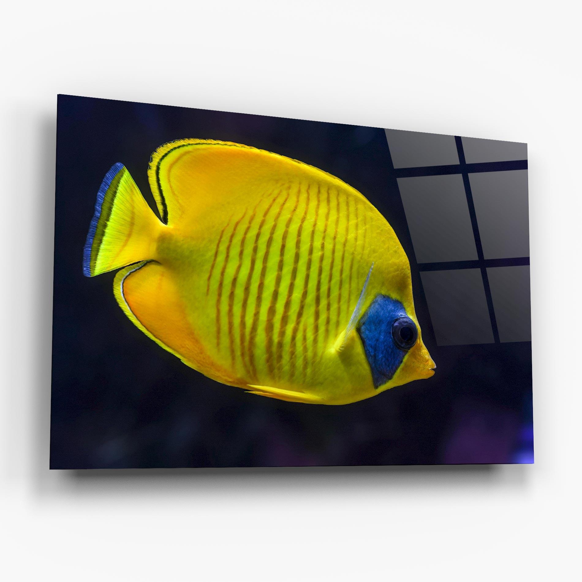 Üvegkép Yellow Blue Fish mockup 6