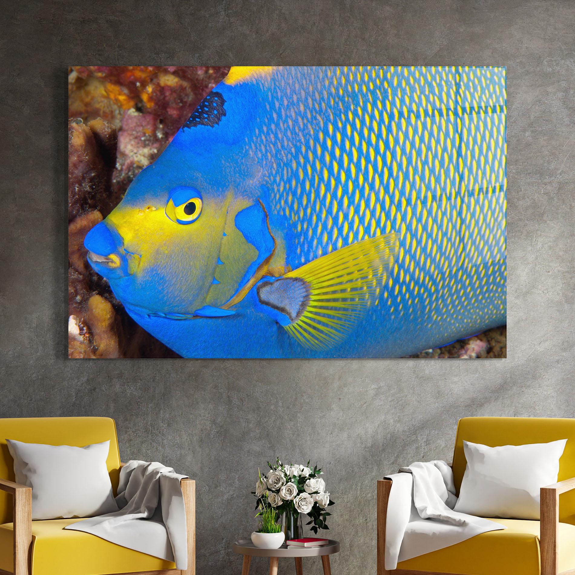 Üvegkép Blue Yellow Fish mockup 4