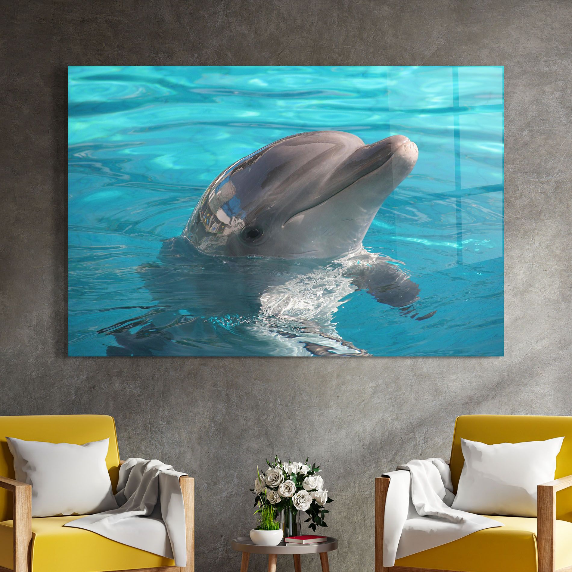 Dolphin Poses mockup 4