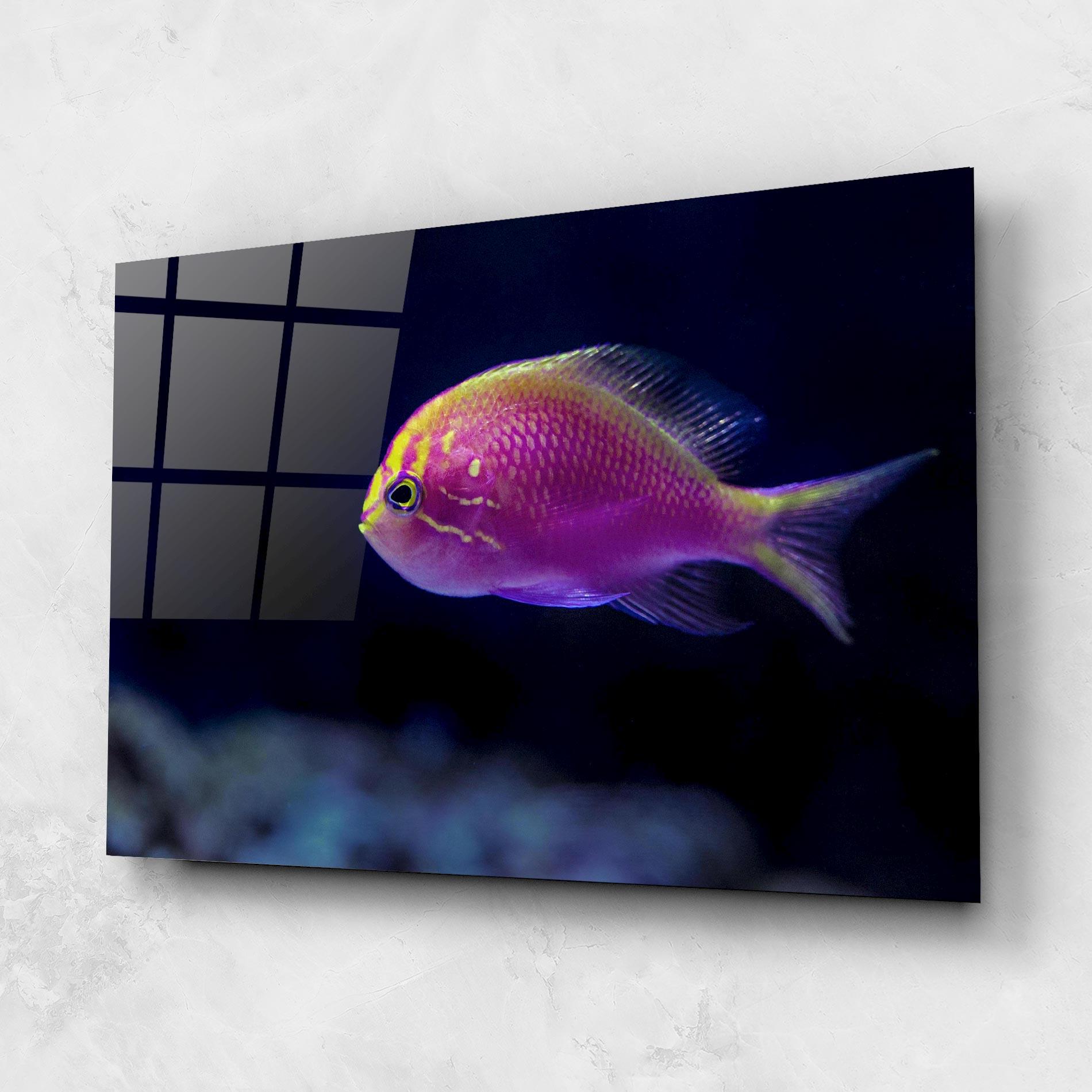 Üvegkép Angry Pink Fish mockup 1