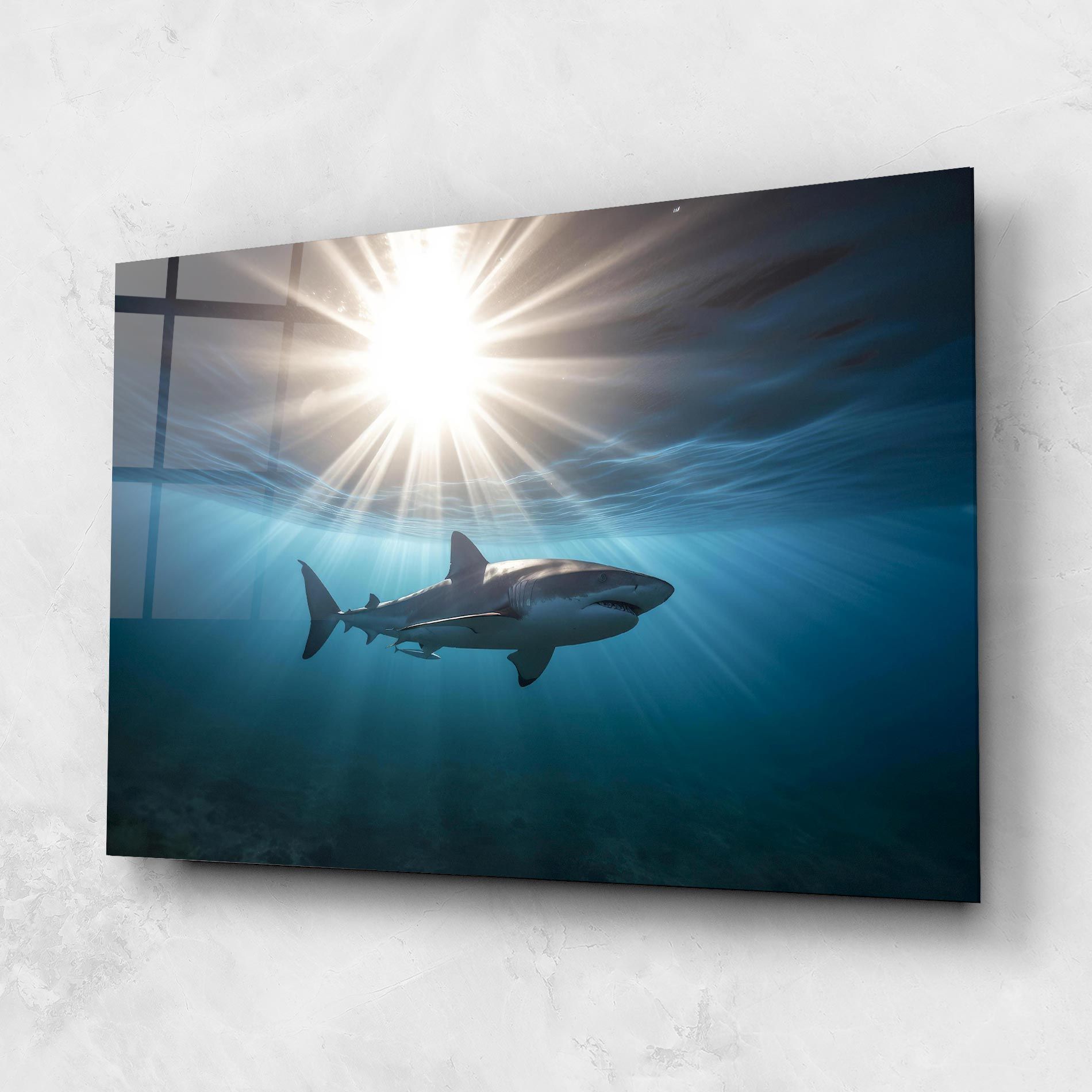 Big Shark mockup 1