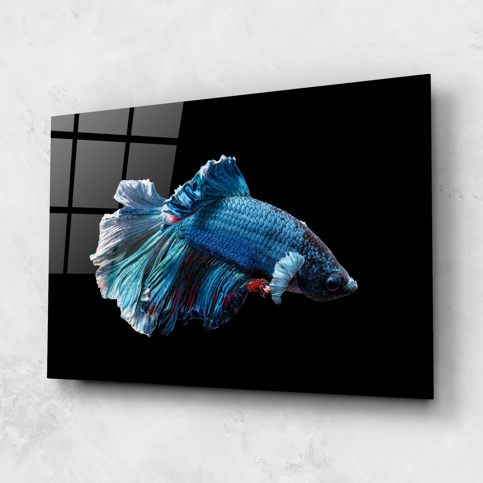 Blue Betta mockup 1