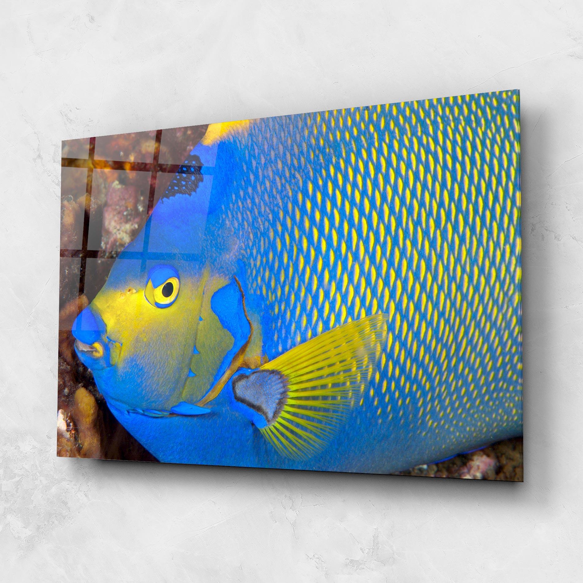 Üvegkép Blue Yellow Fish mockup 1