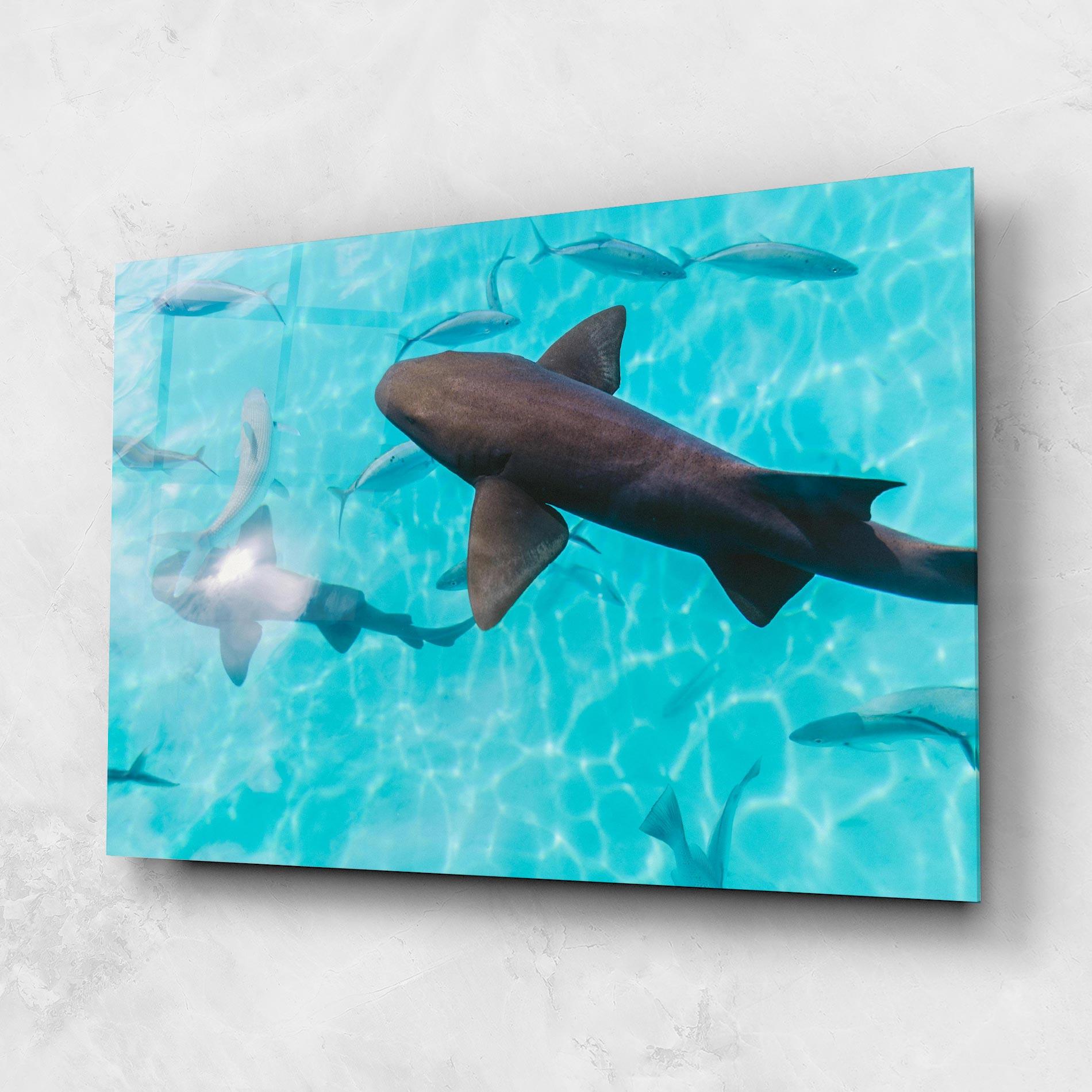 Üvegkép Cute Shark mockup 1
