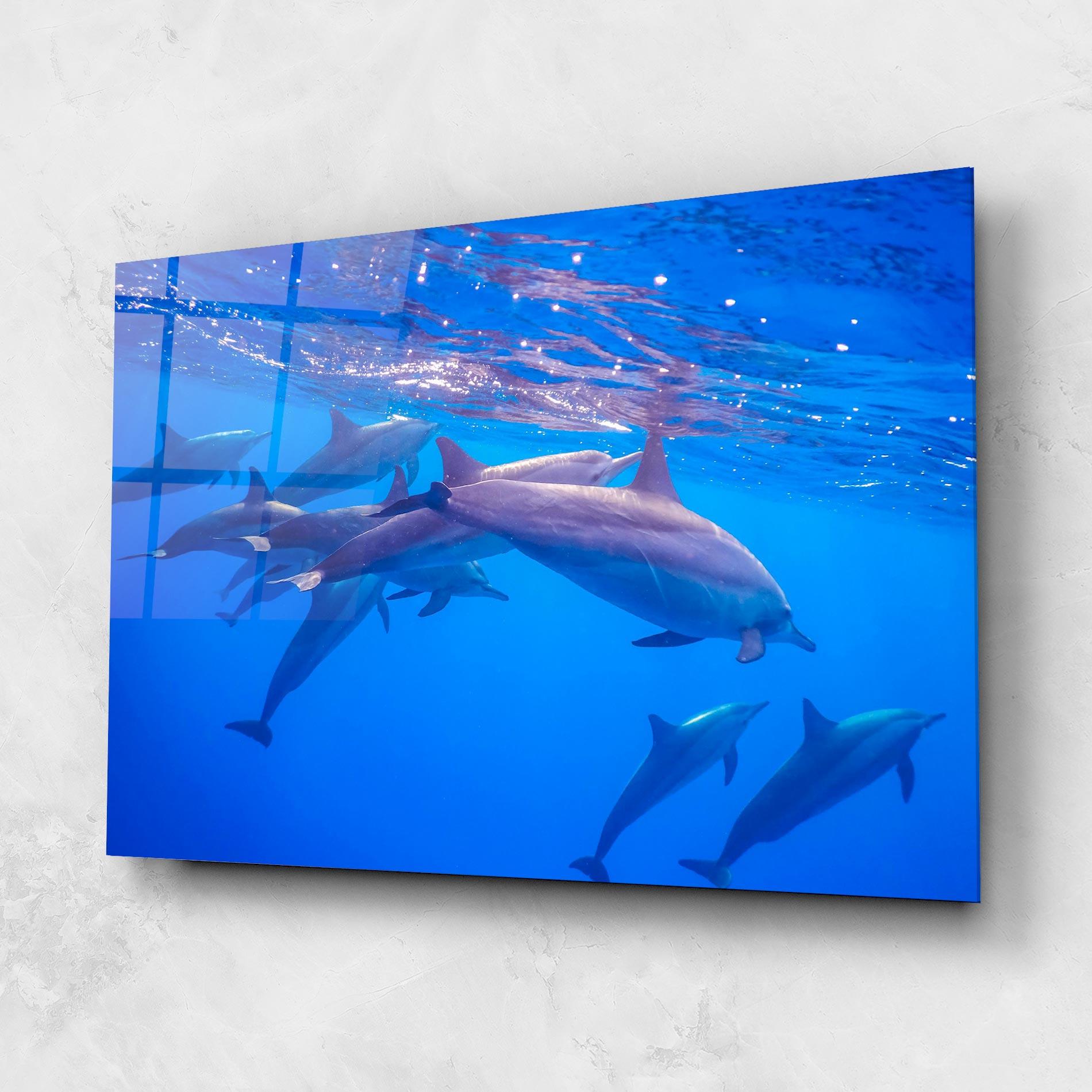 Üvegkép Dolphin Family mockup 1