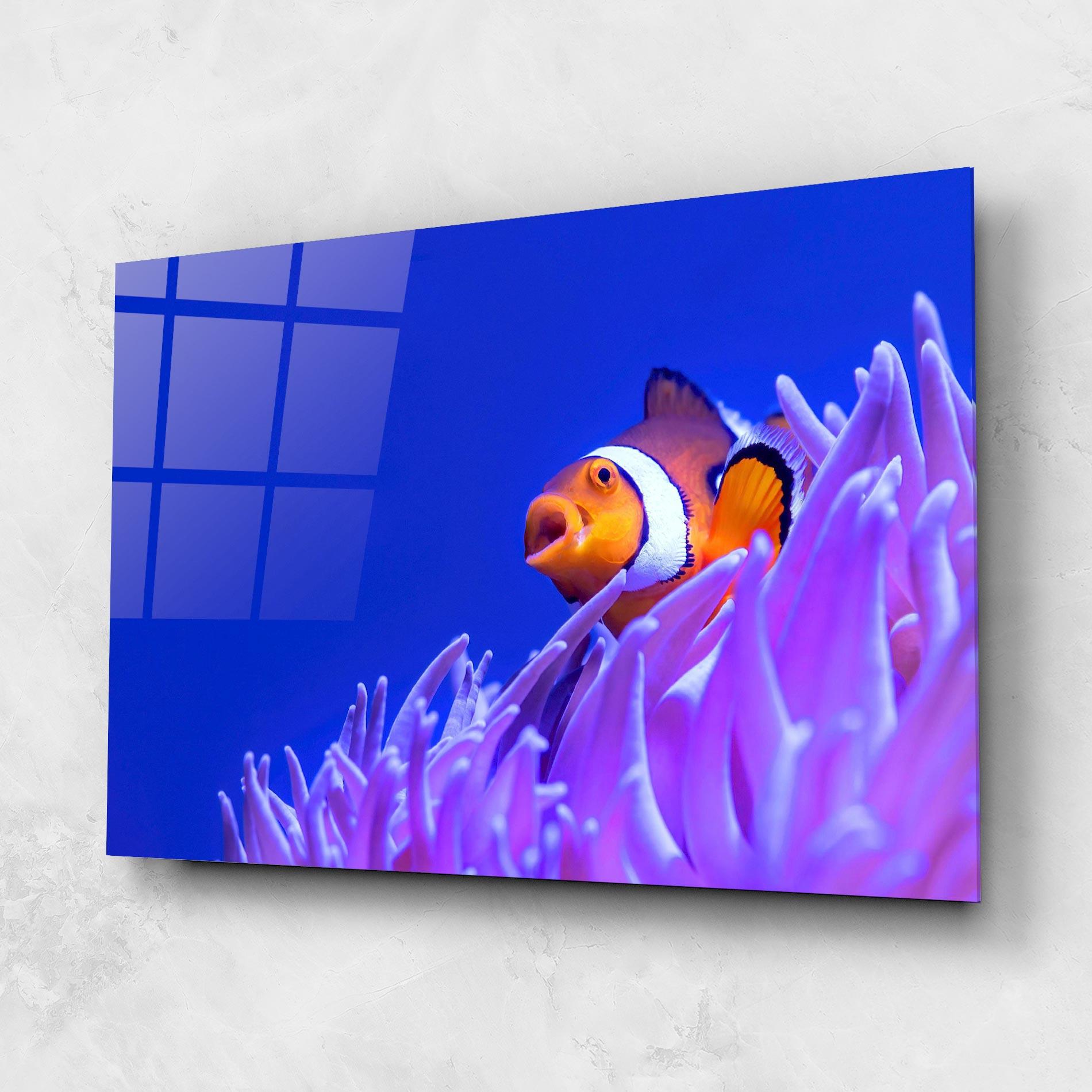Üvegkép Hungry Nemo mockup 1