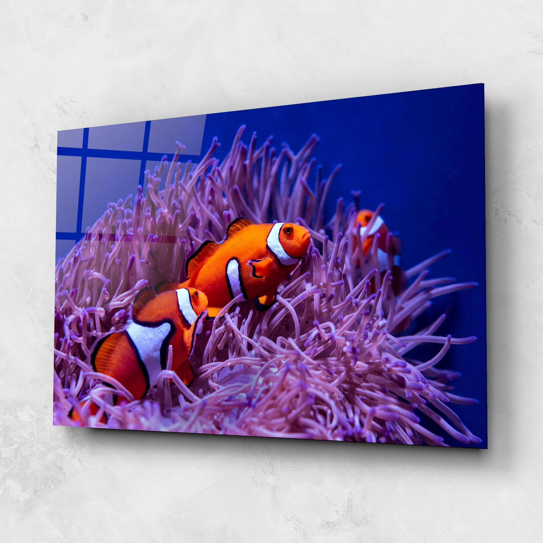 Üvegkép Nemo Family mockup 1