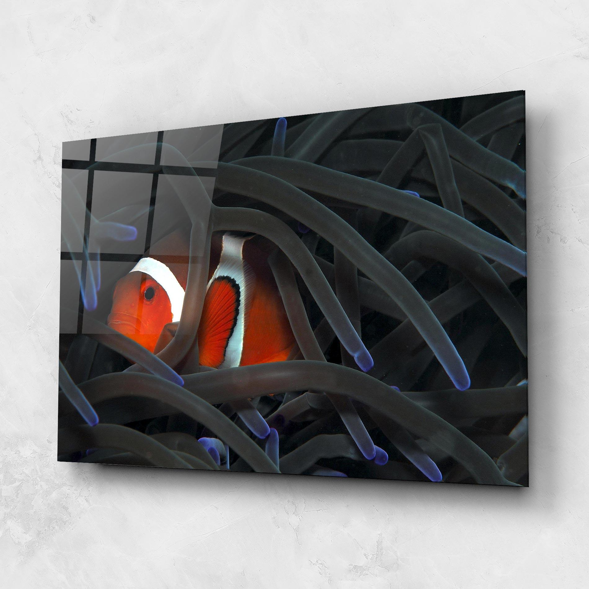 Üvegkép Nemo Hiding mockup 1