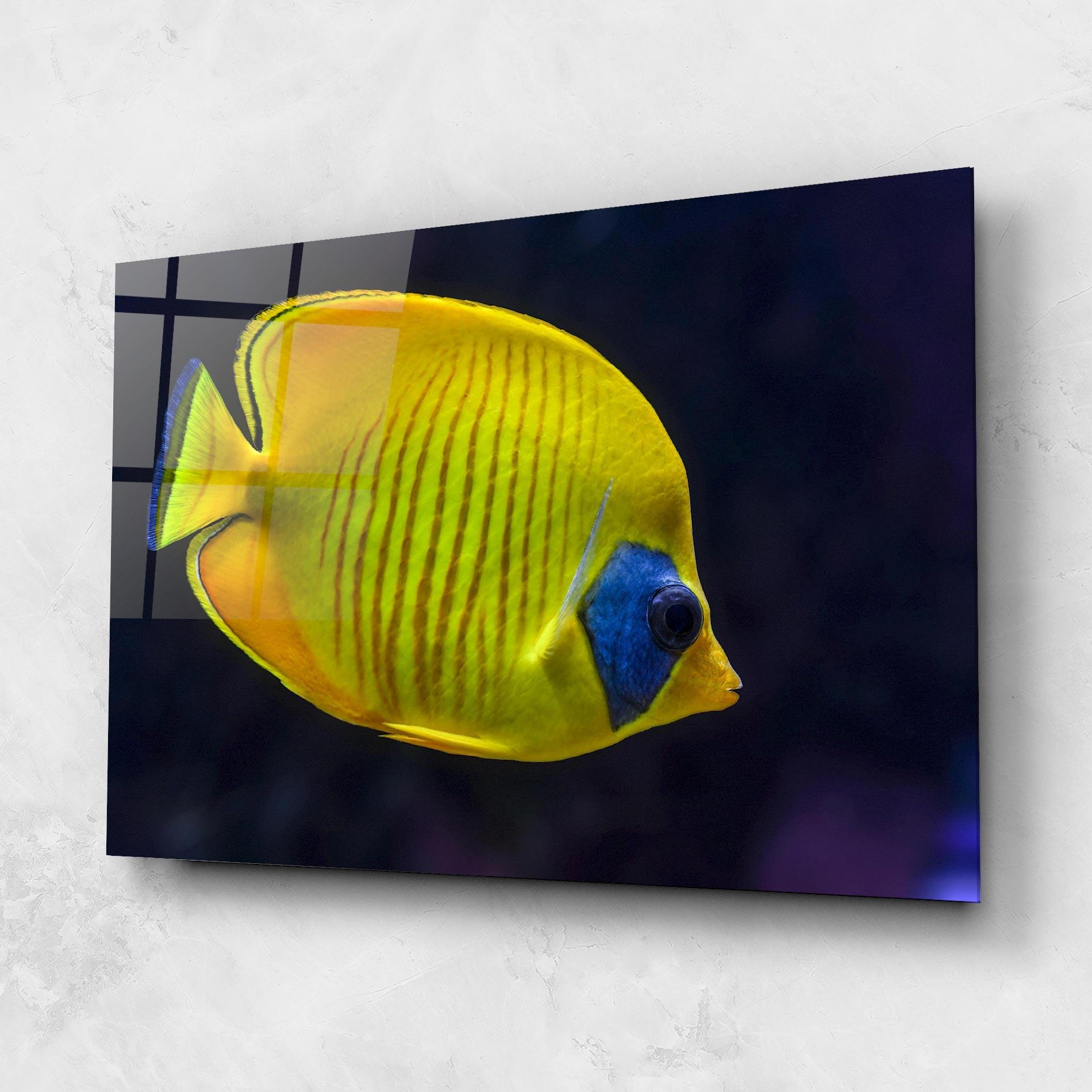 Üvegkép Yellow Blue Fish mockup 1