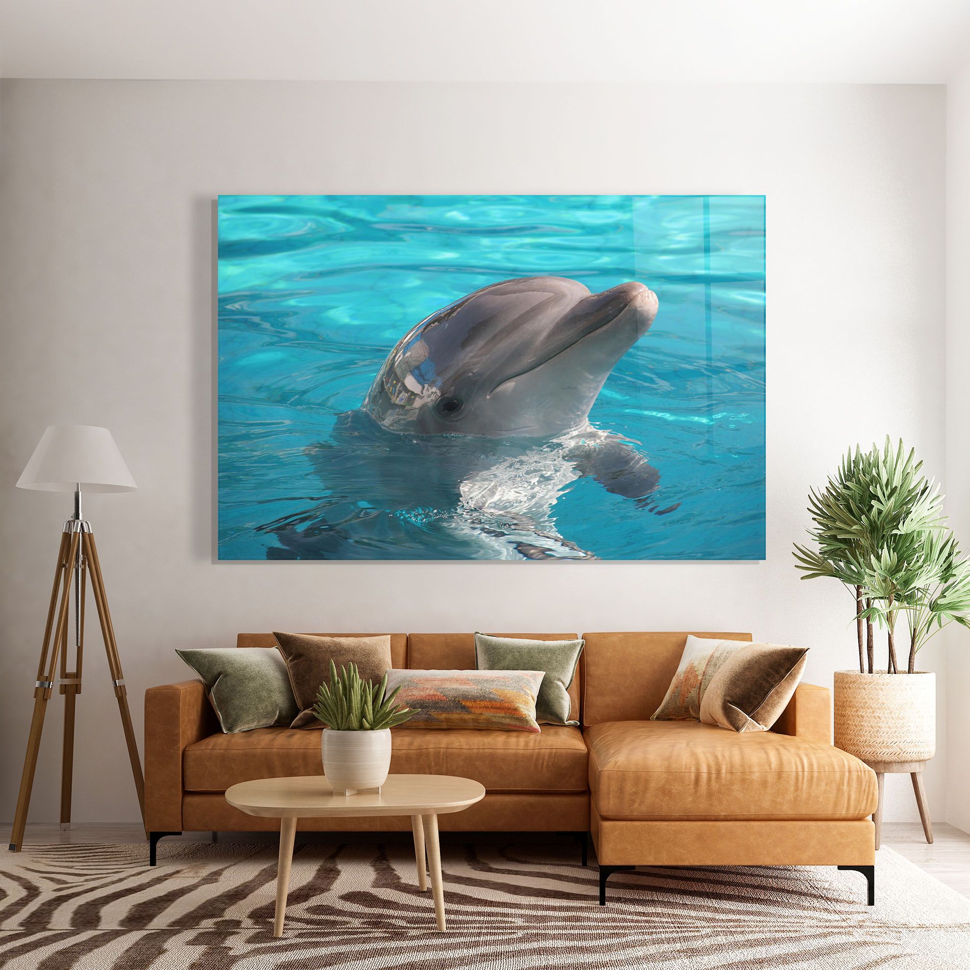 Dolphin Poses mockup 7