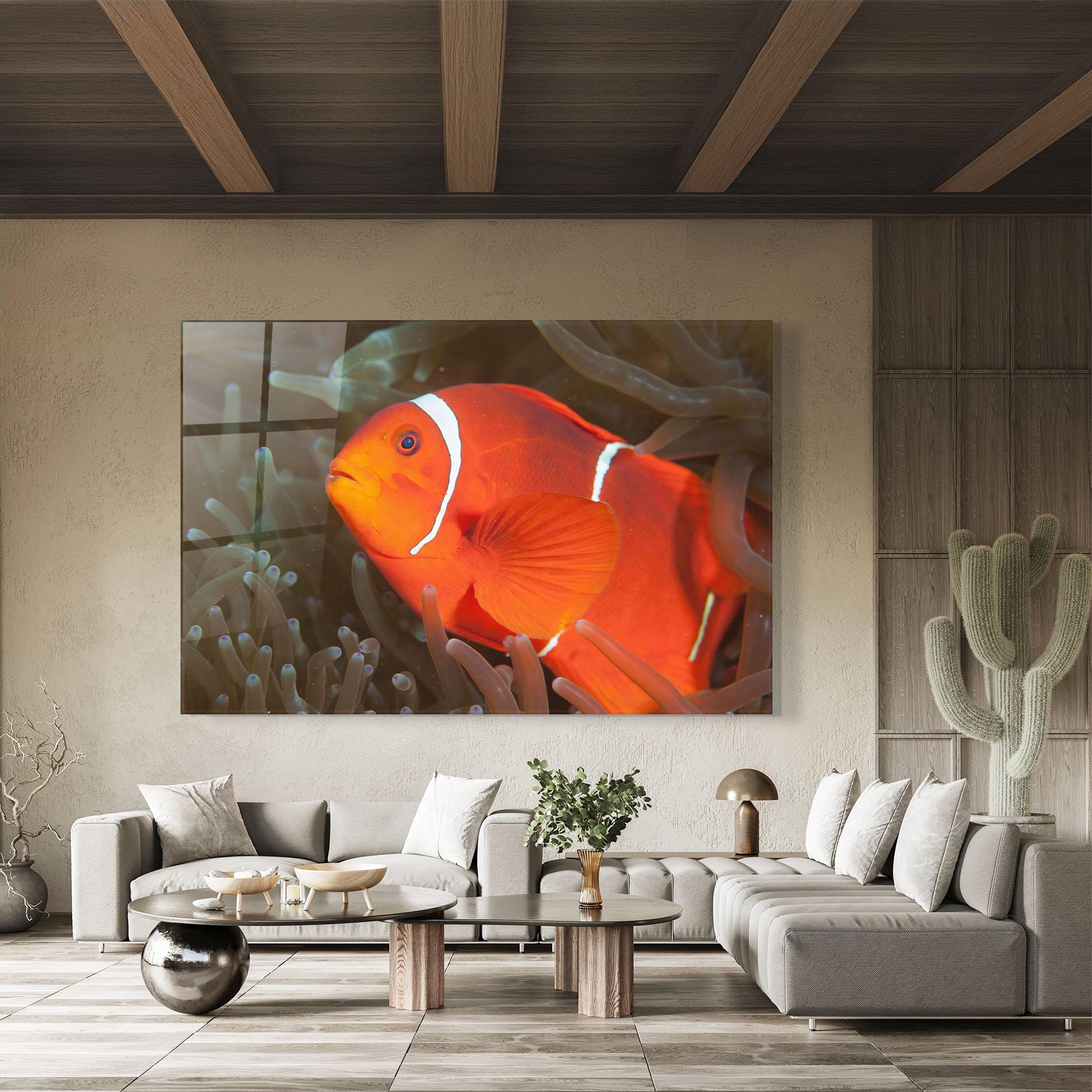 Üvegkép Nemo Clownfish mockup 8