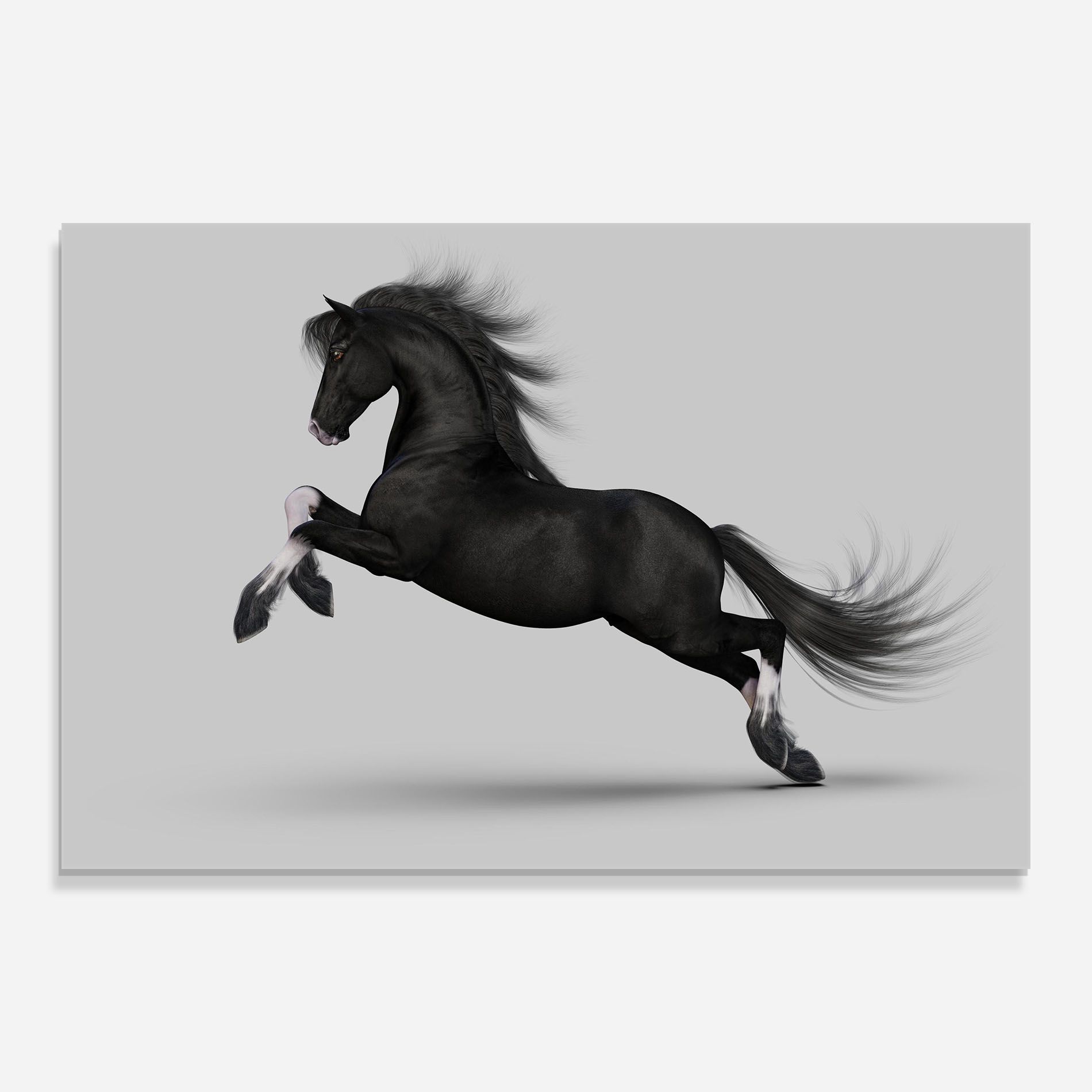 Black Horse Galloping mockup 0