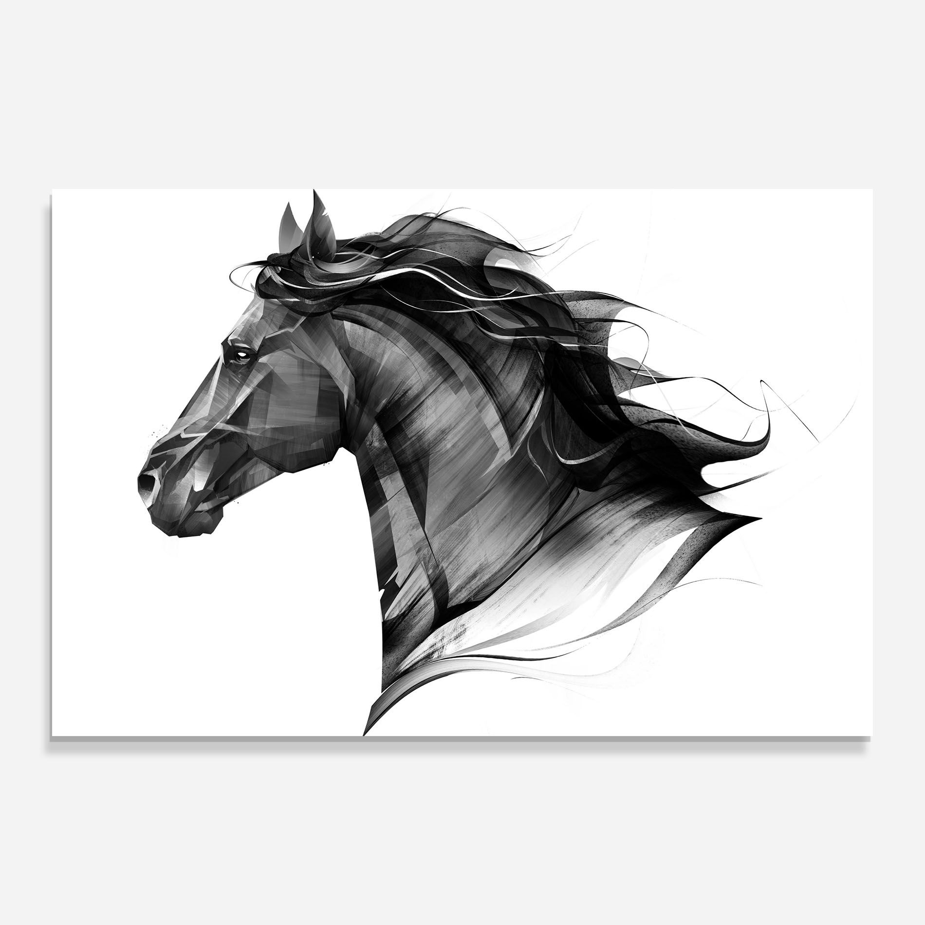 Black Portrait Horse mockup 0
