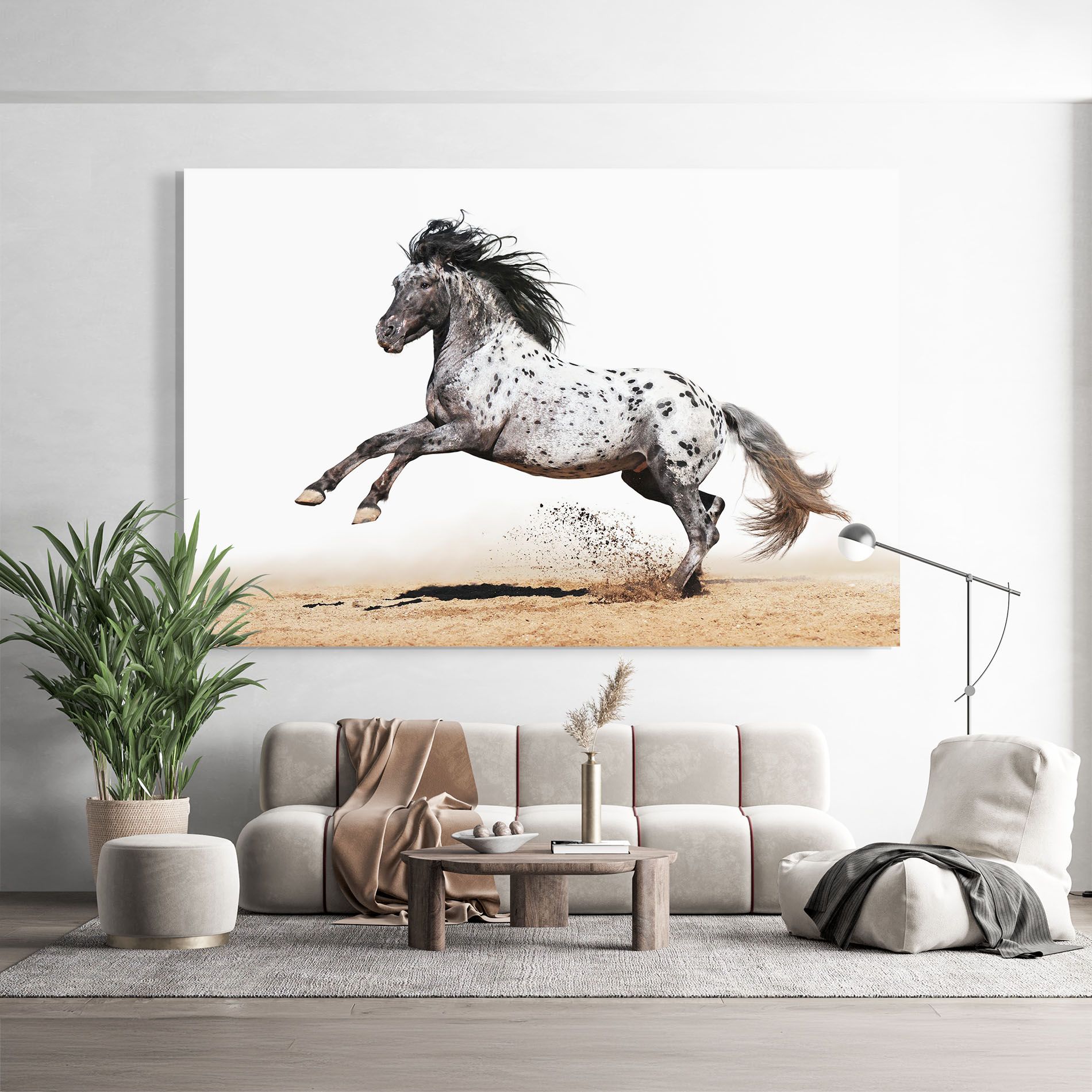 Appaloosa Horse Running mockup 9