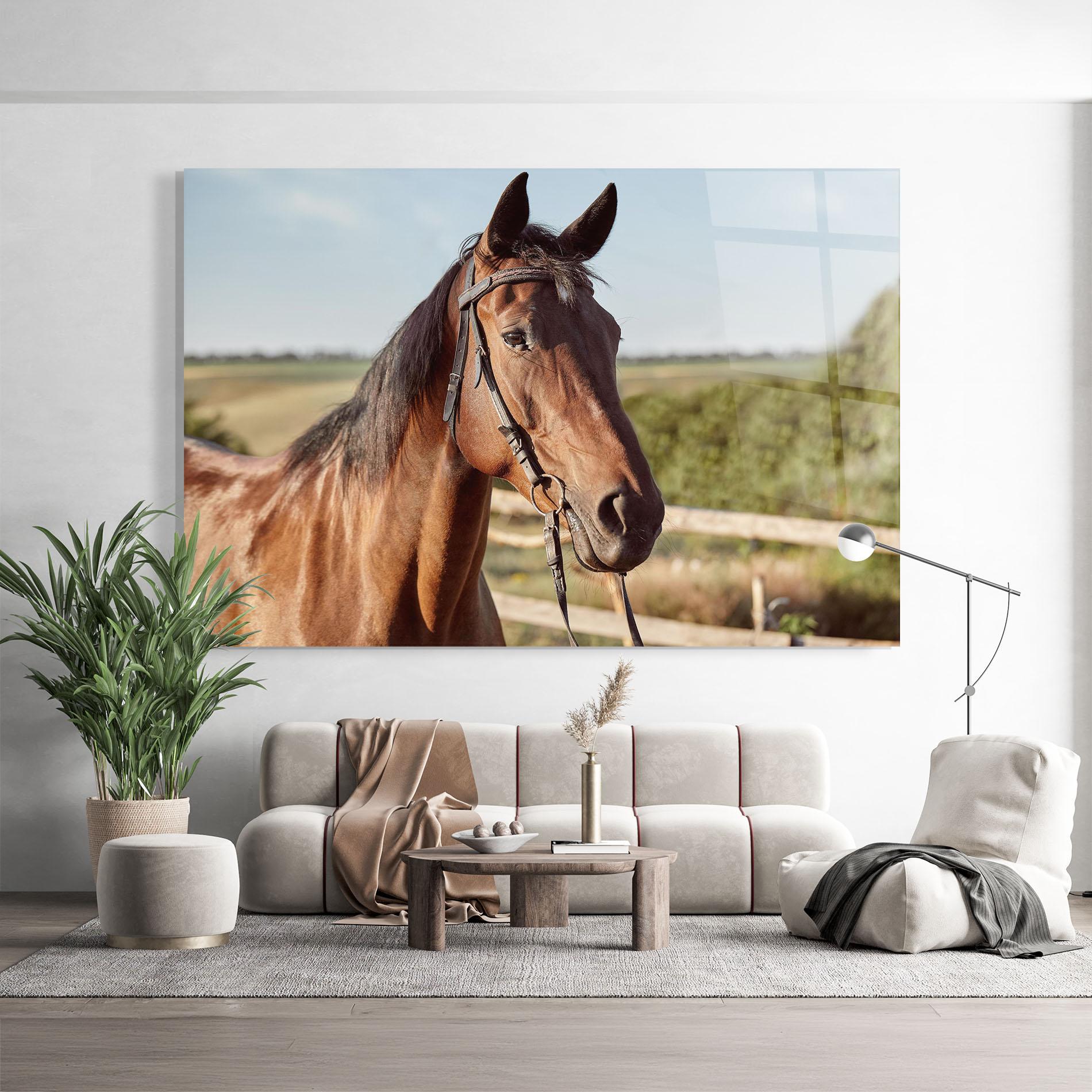 Üvegkép Brown Horse Close Up mockup 9
