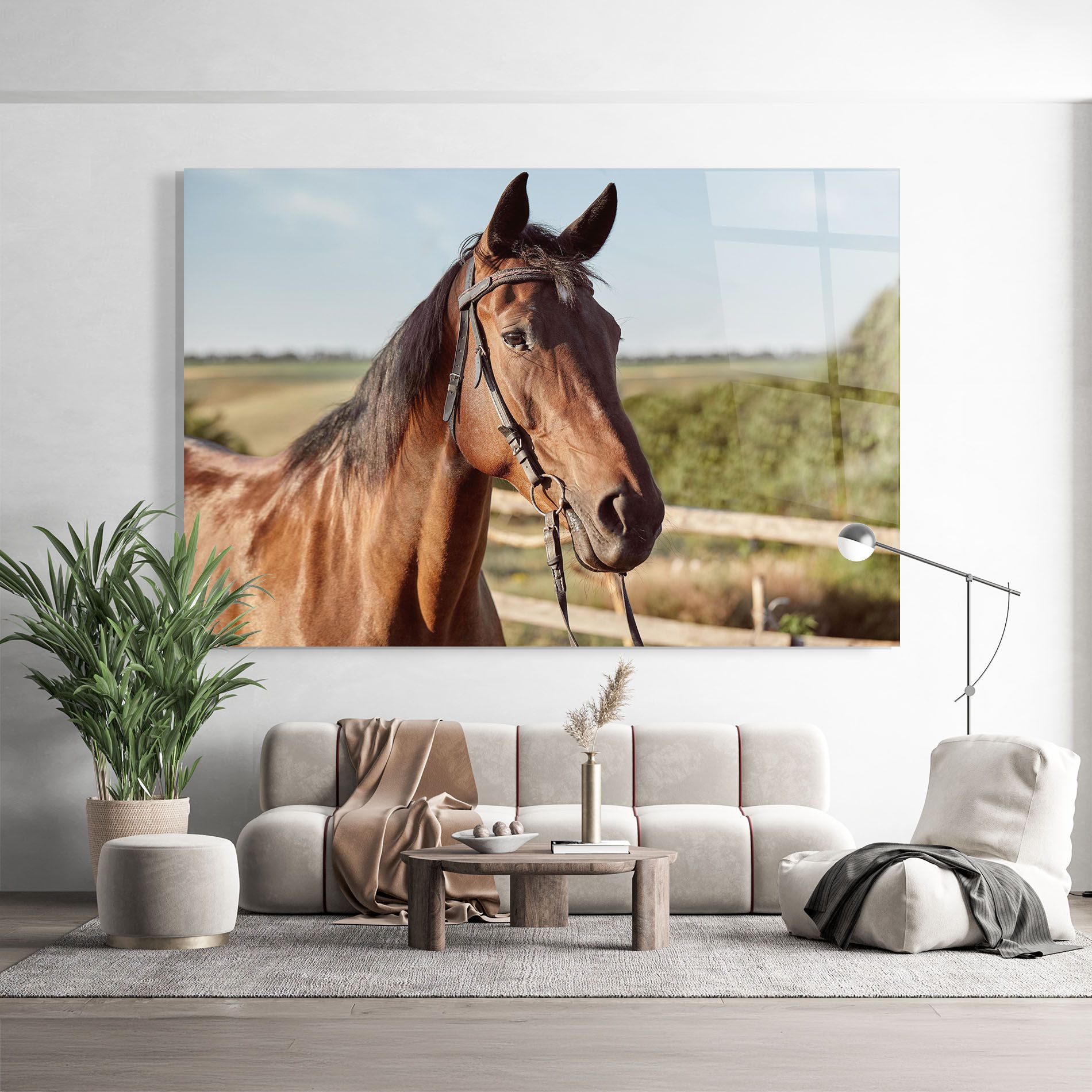 Brown Horse Close Up mockup 9