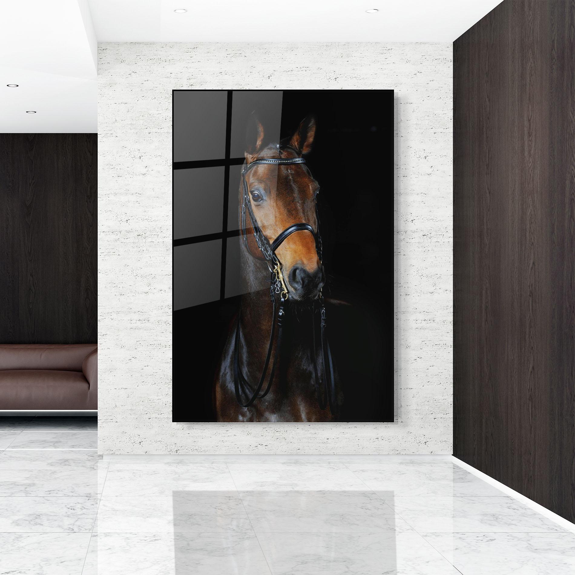 Üvegkép Brown Horse On Black mockup 9