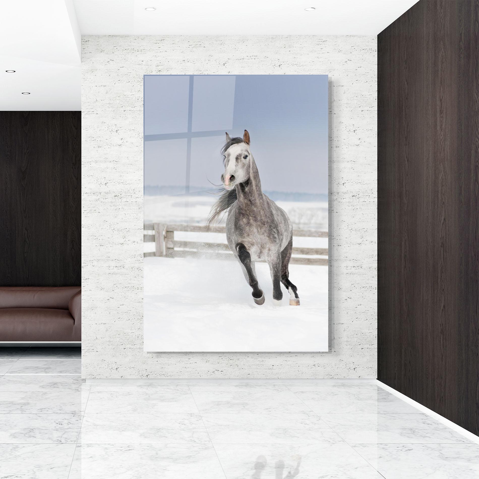 Üvegkép Horse Running Free mockup 9