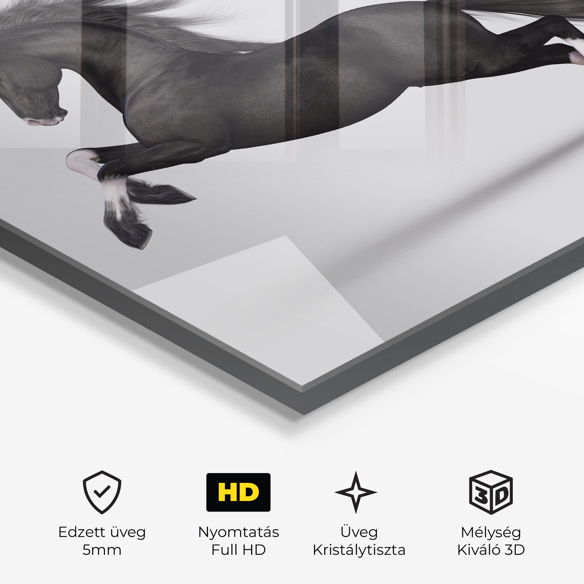 Black Horse Galloping mockup 3