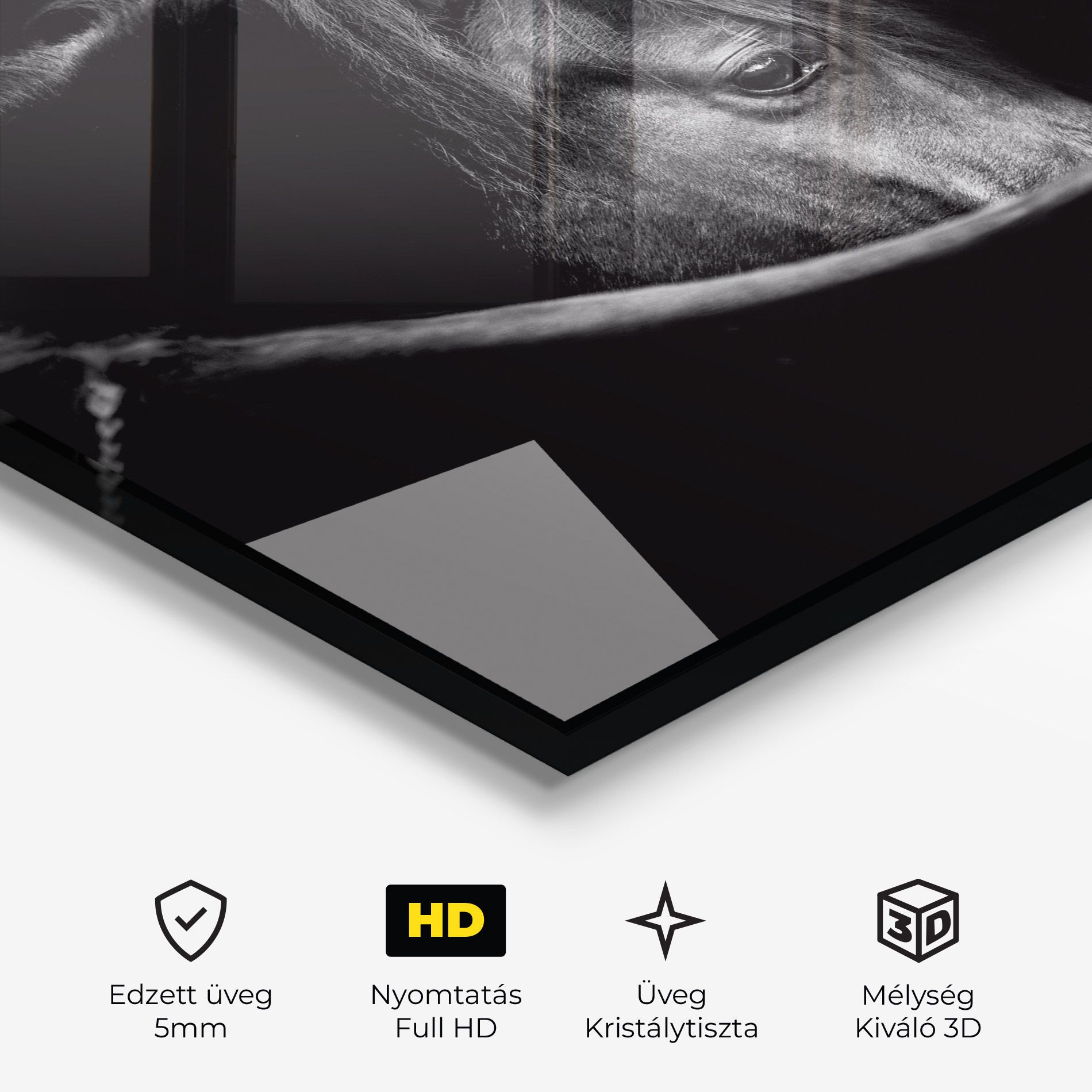 Black Horse Looking mockup 3